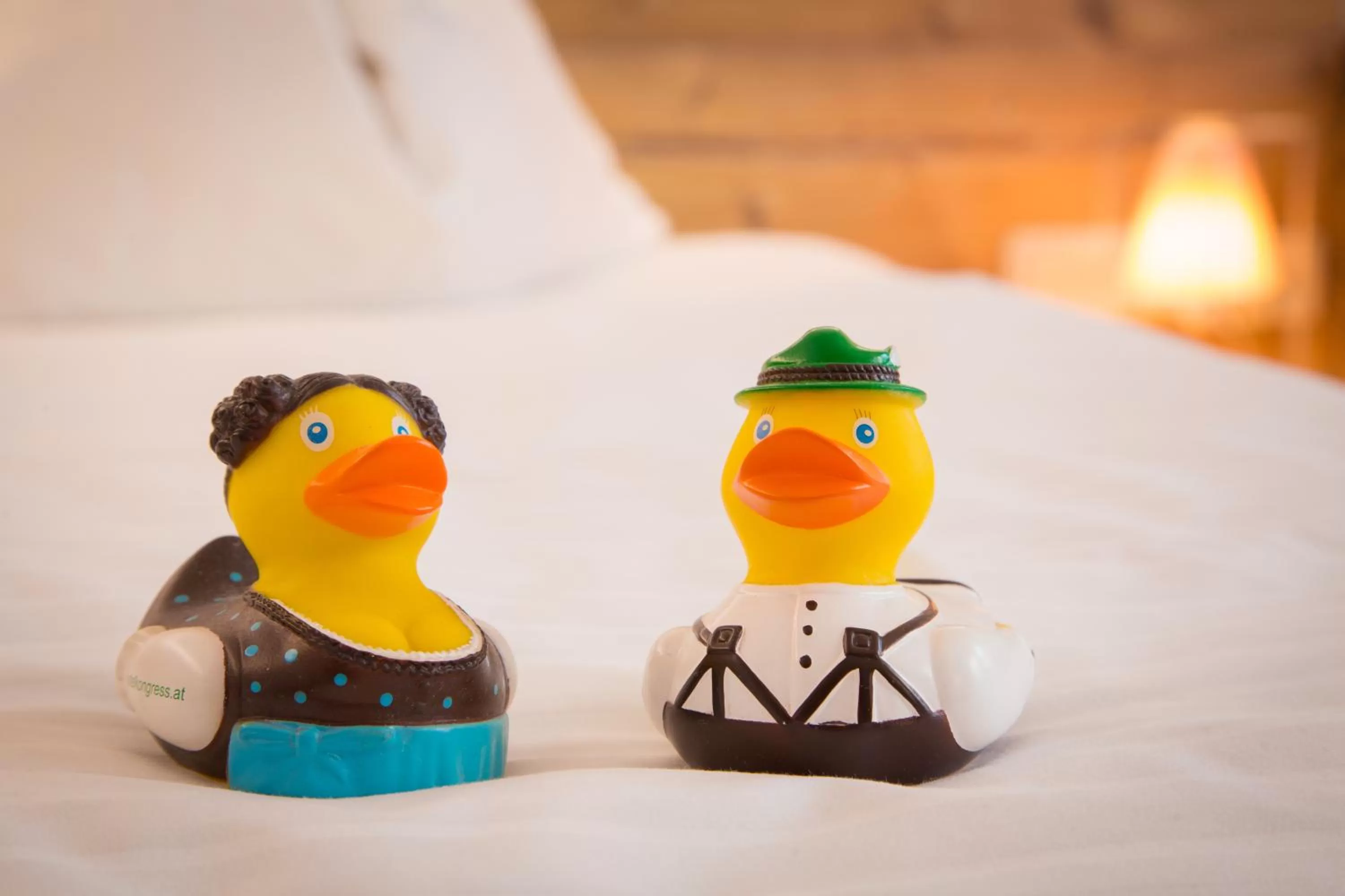 Other in Hotel Kongress