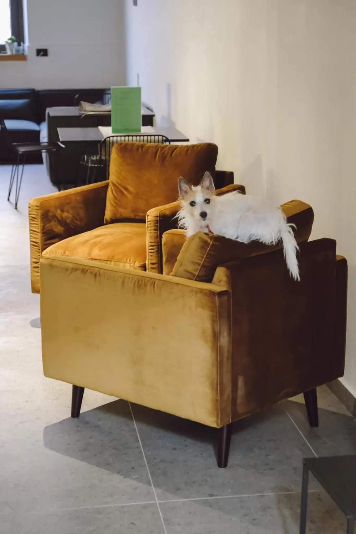 Living room in Central Lodge Hotel