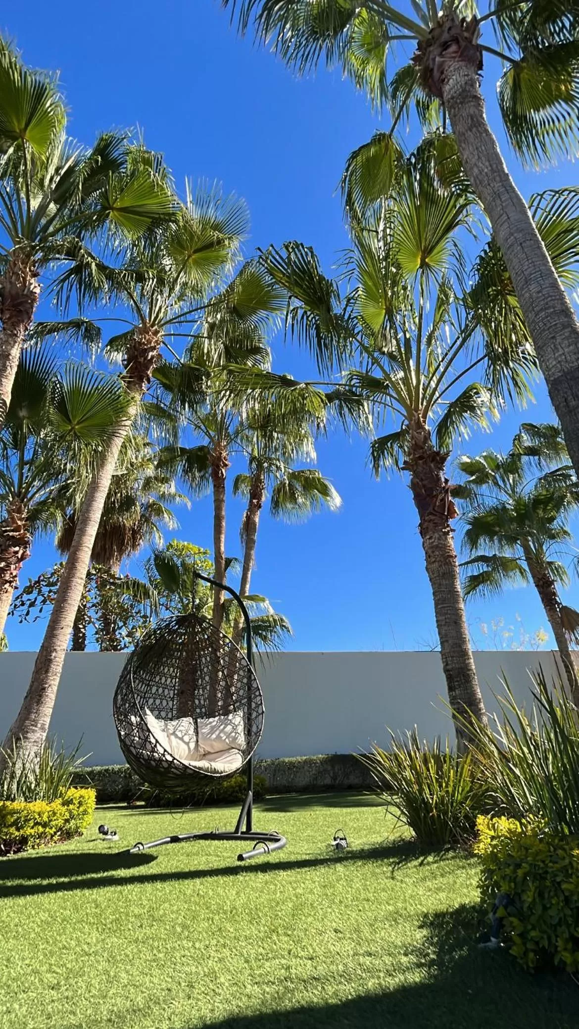 Garden in Hotel Quinta Santa Rosa