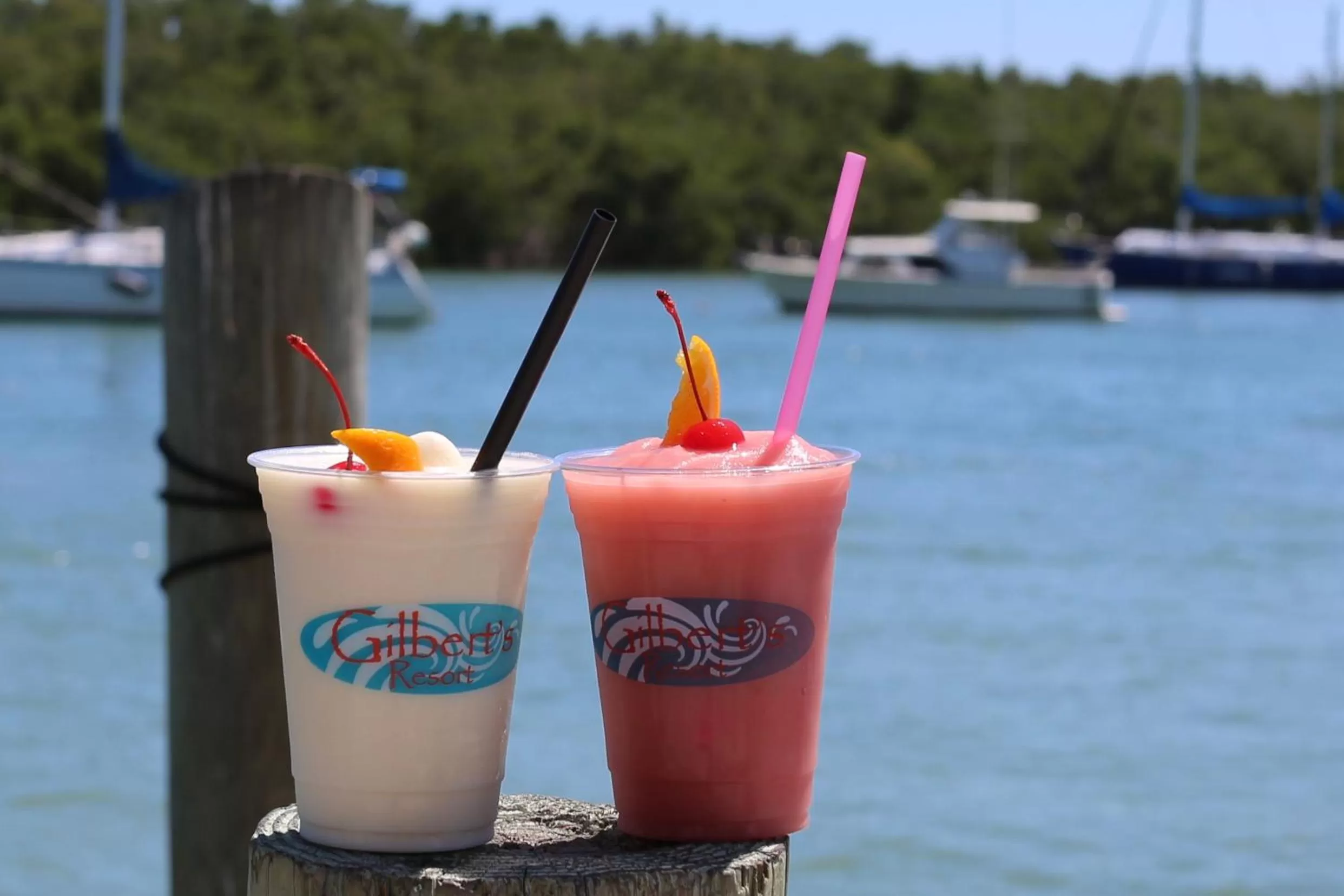 Alcoholic drinks in Gilbert's Resort & Marina