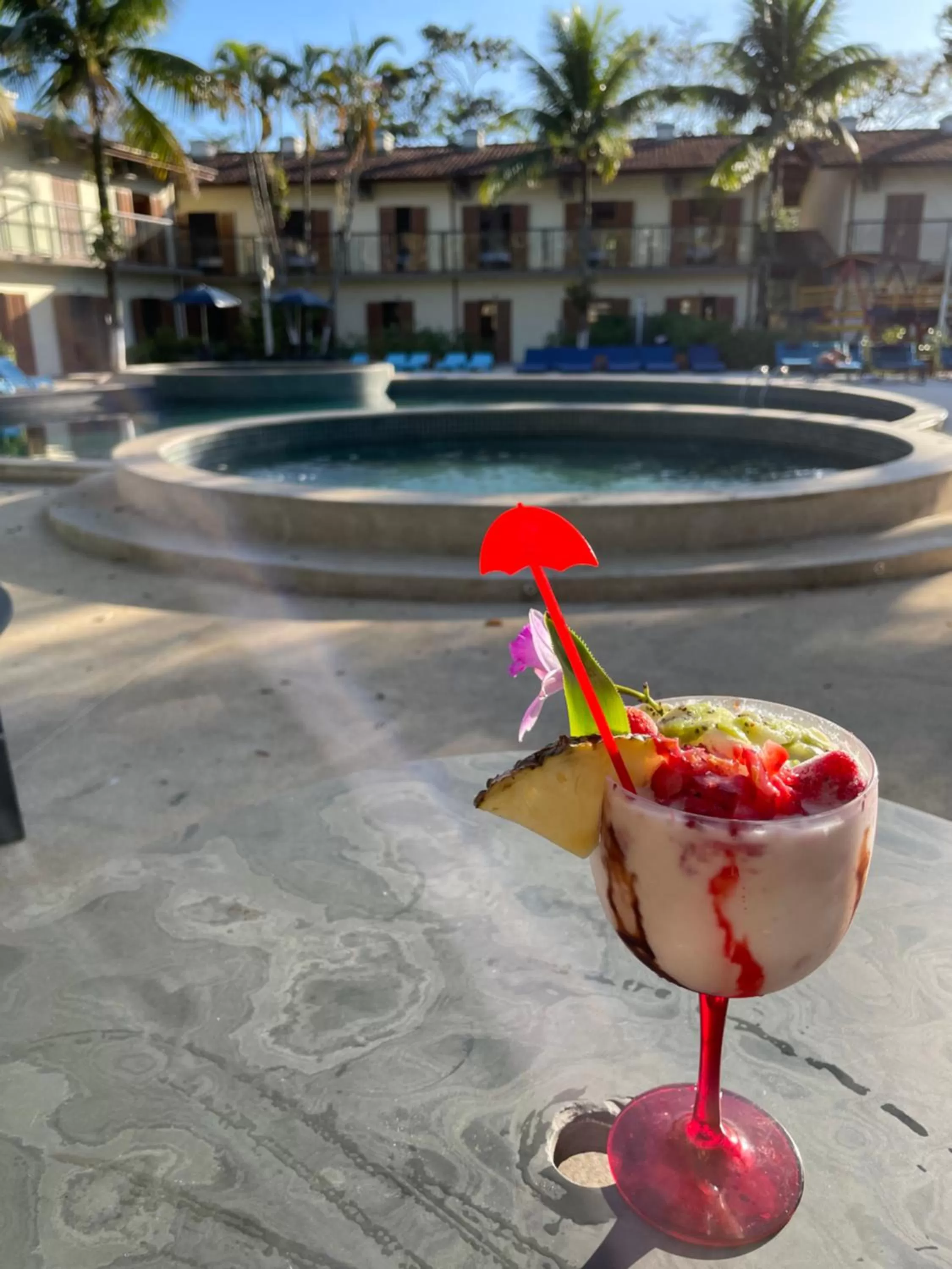 Food and drinks, Swimming Pool in Pousada Ilha Vitoria