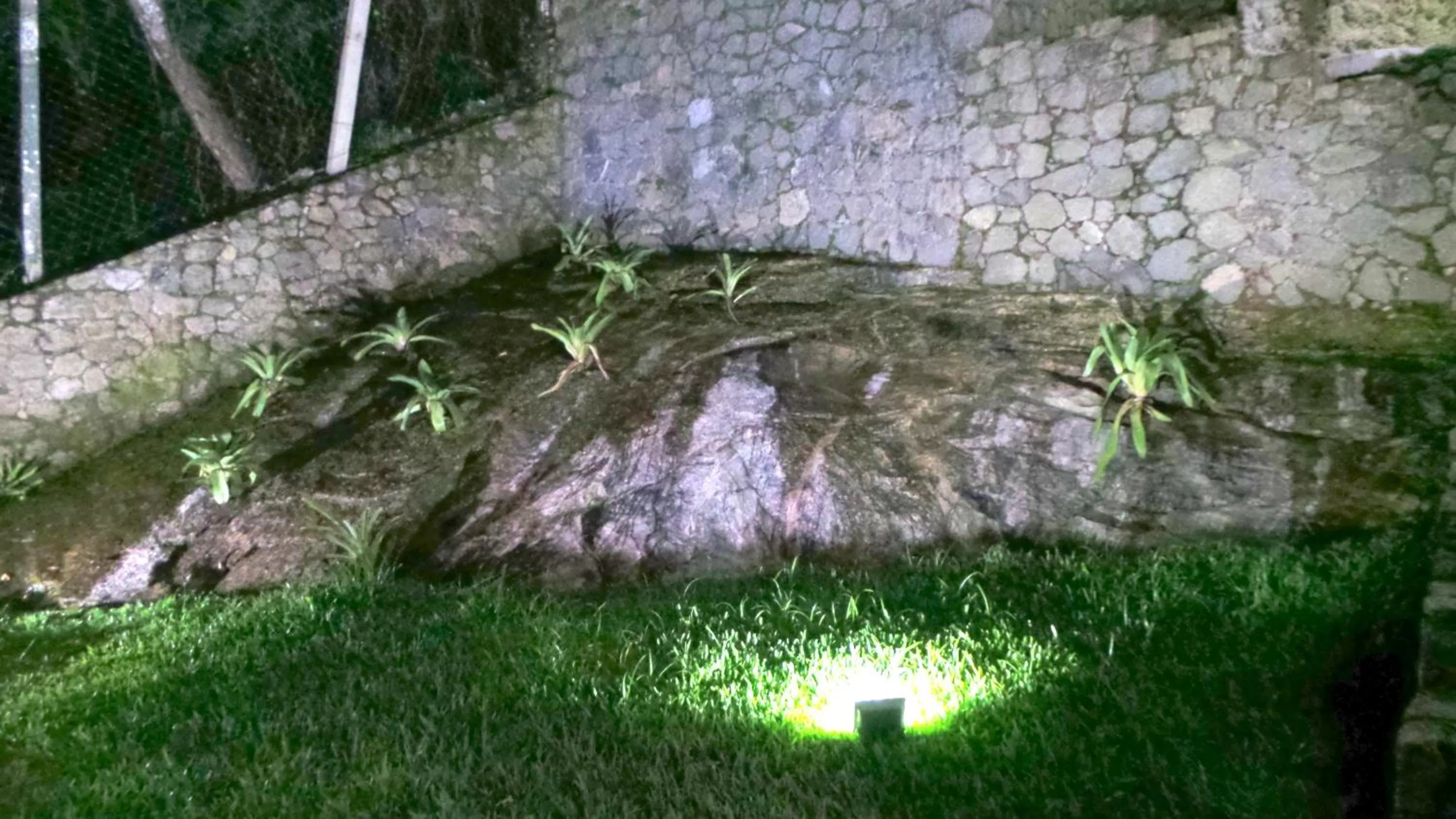 Garden, Other Animals in Ocean Green Flats