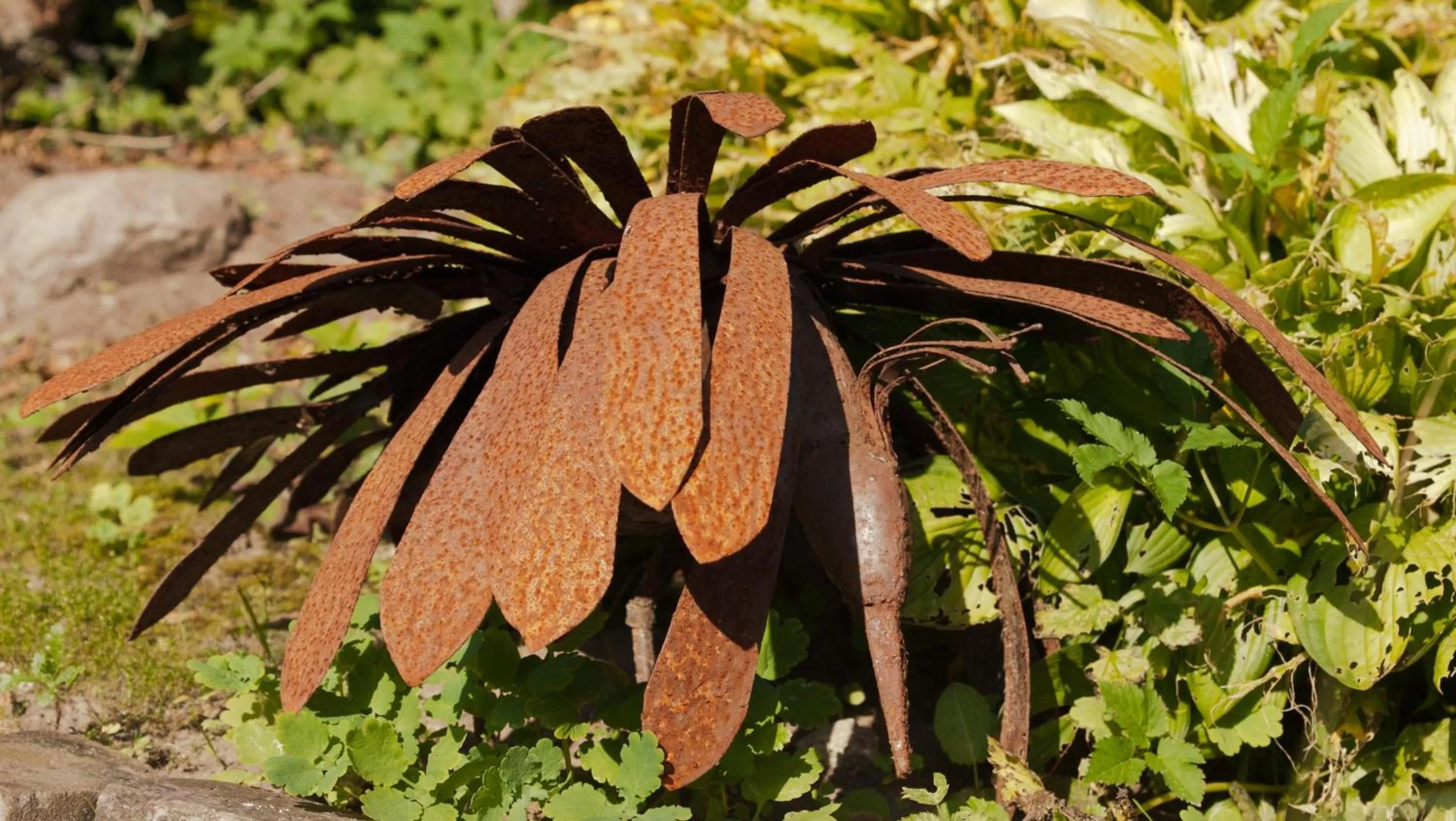 Garden in De Violier