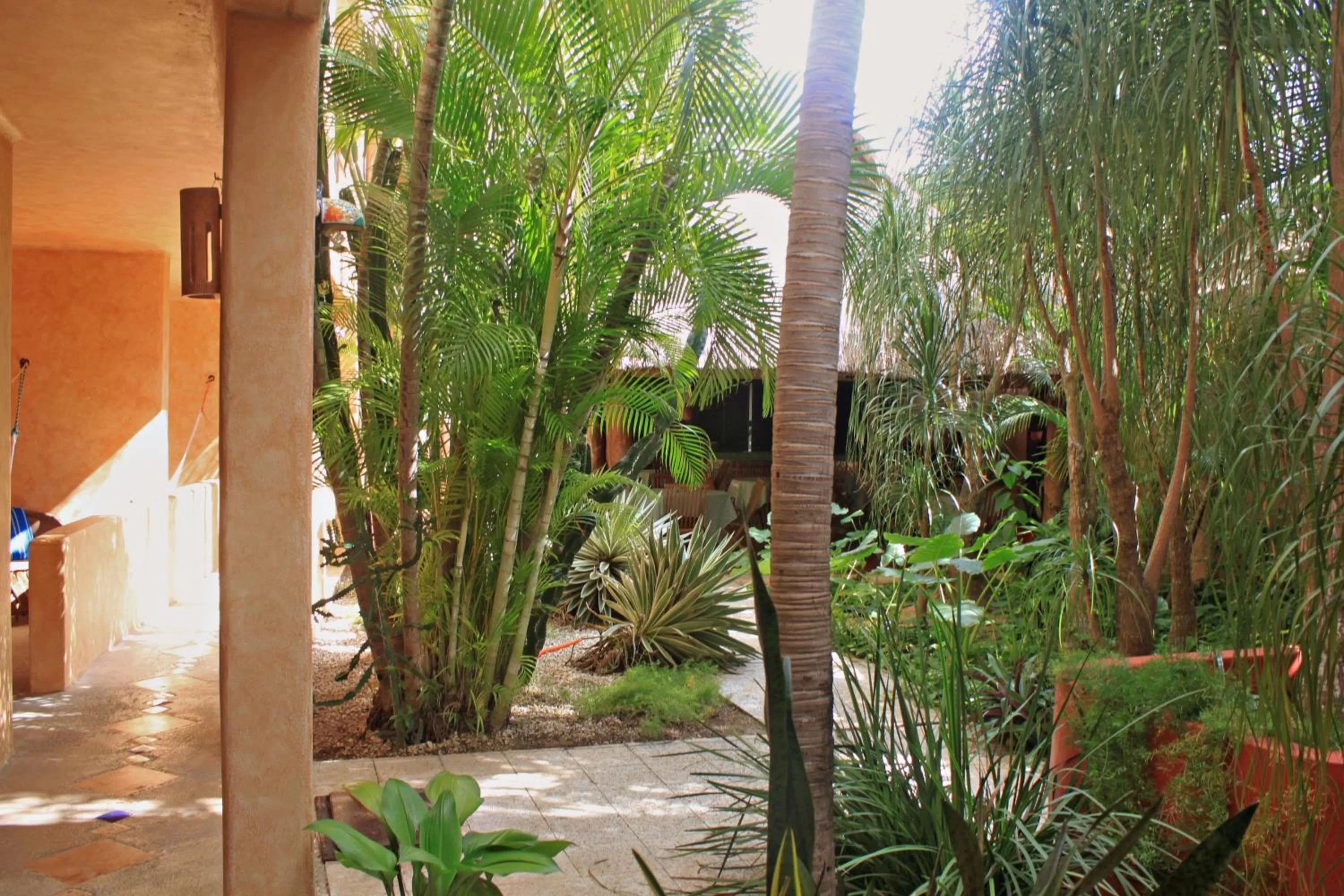 Garden in Hotel Barrio Latino