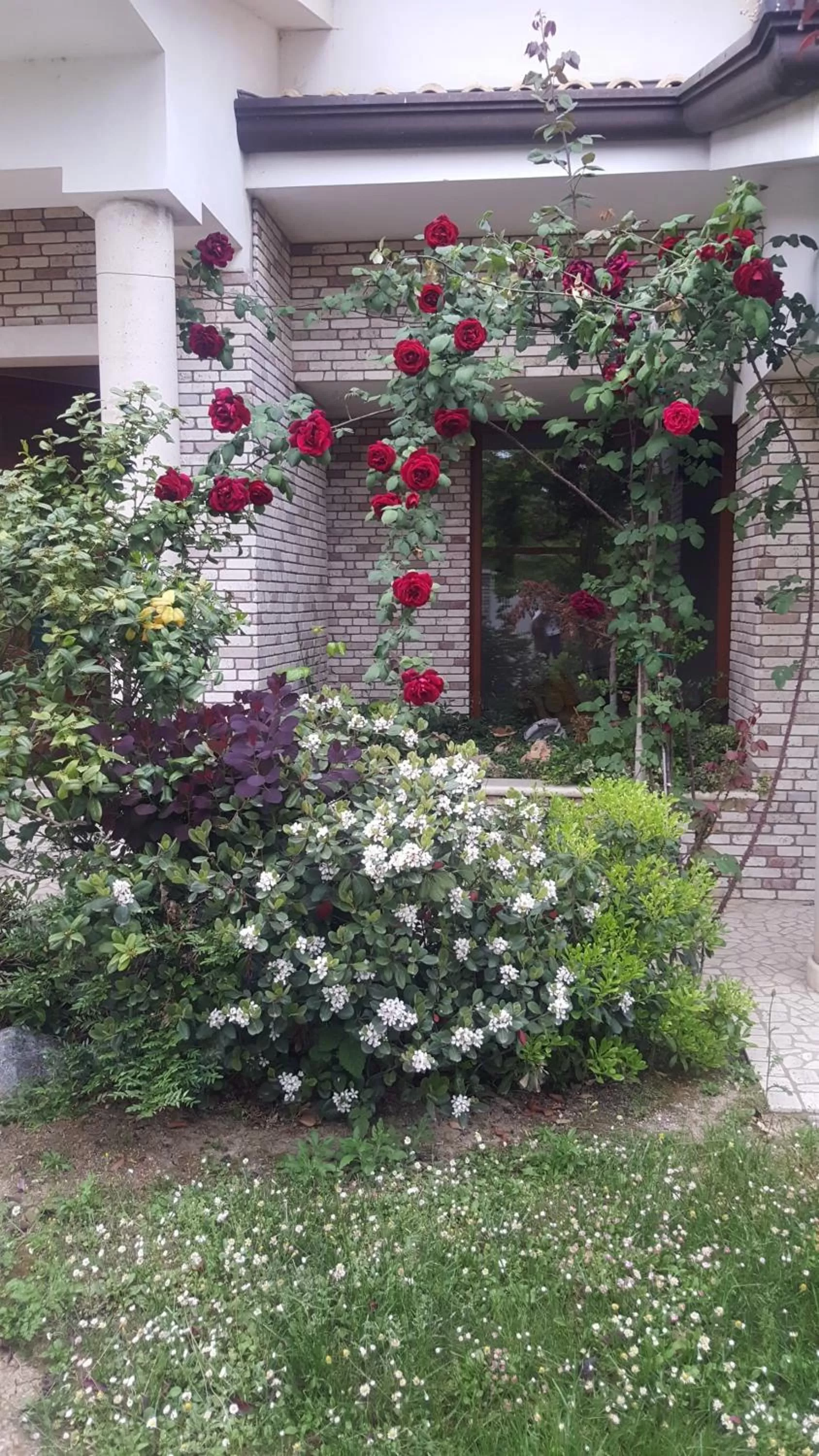 Facade/entrance in Villa Gioia Rooms