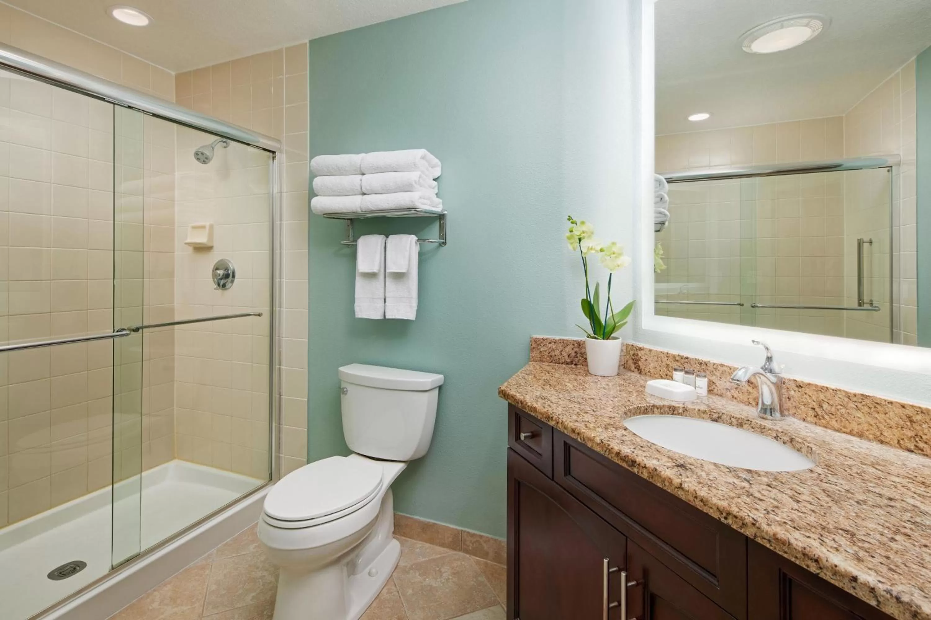 Bathroom in Sheraton Vistana Resort Villas, Lake Buena Vista Orlando