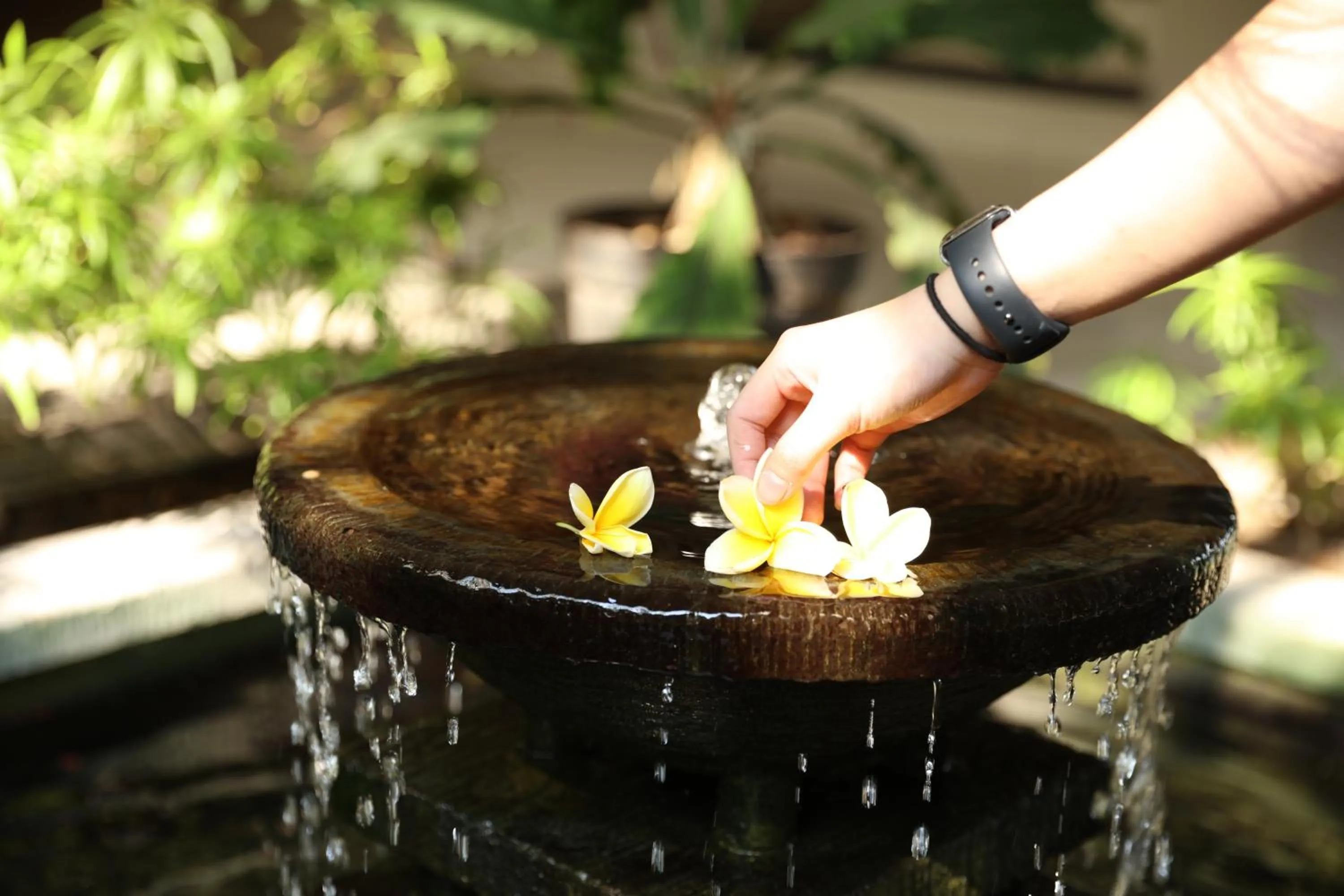 Lobby or reception in Bale Ocasa by Behomy