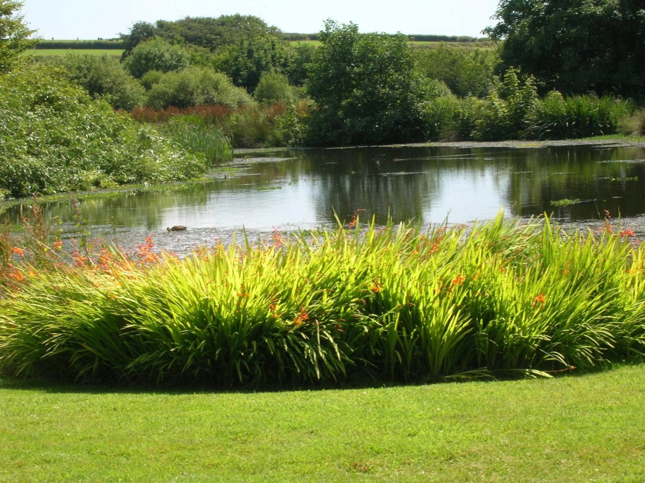 Day in Polhilsa Farm