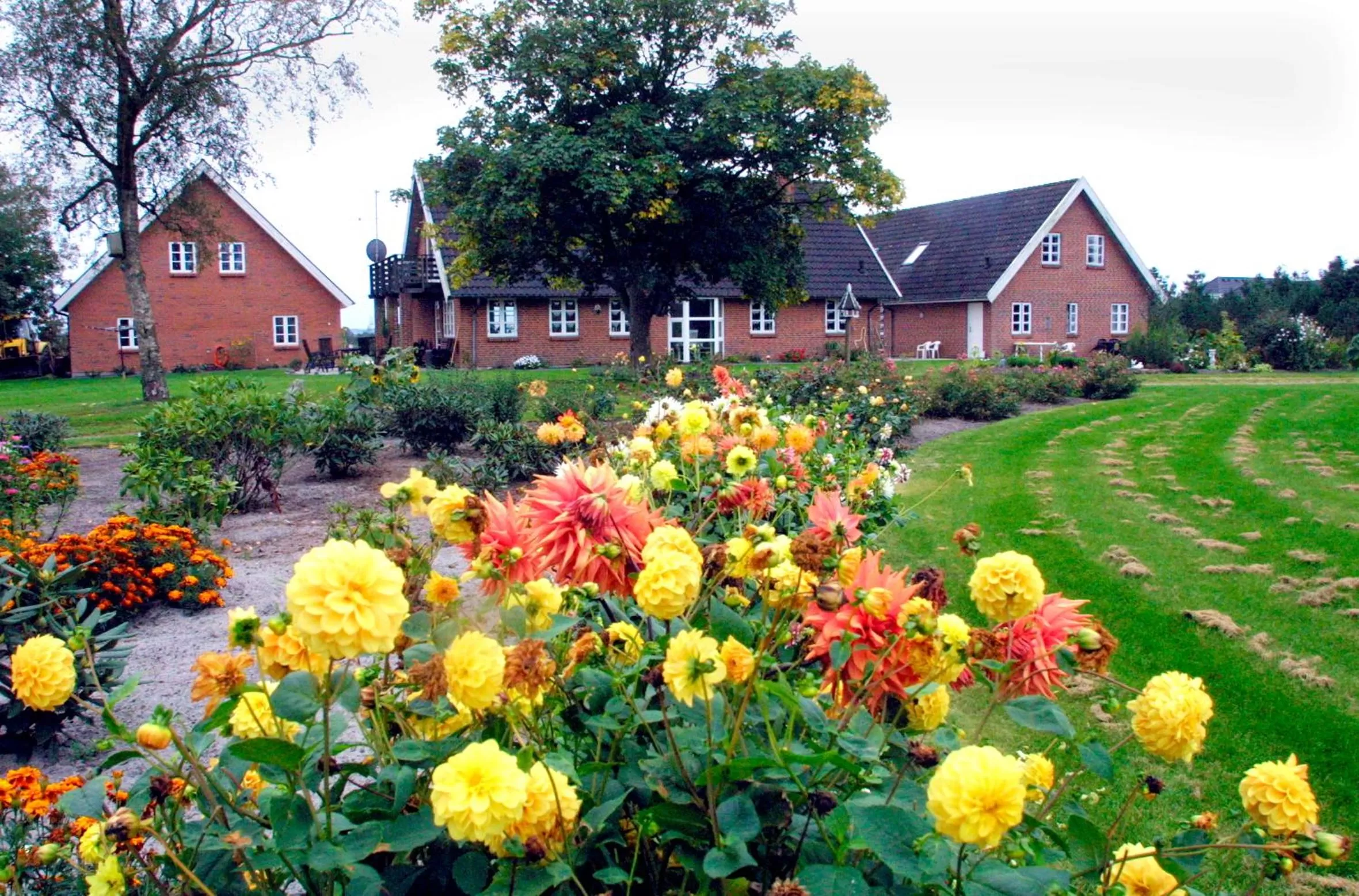 Garden, Property Building in Give Bed & Breakfast