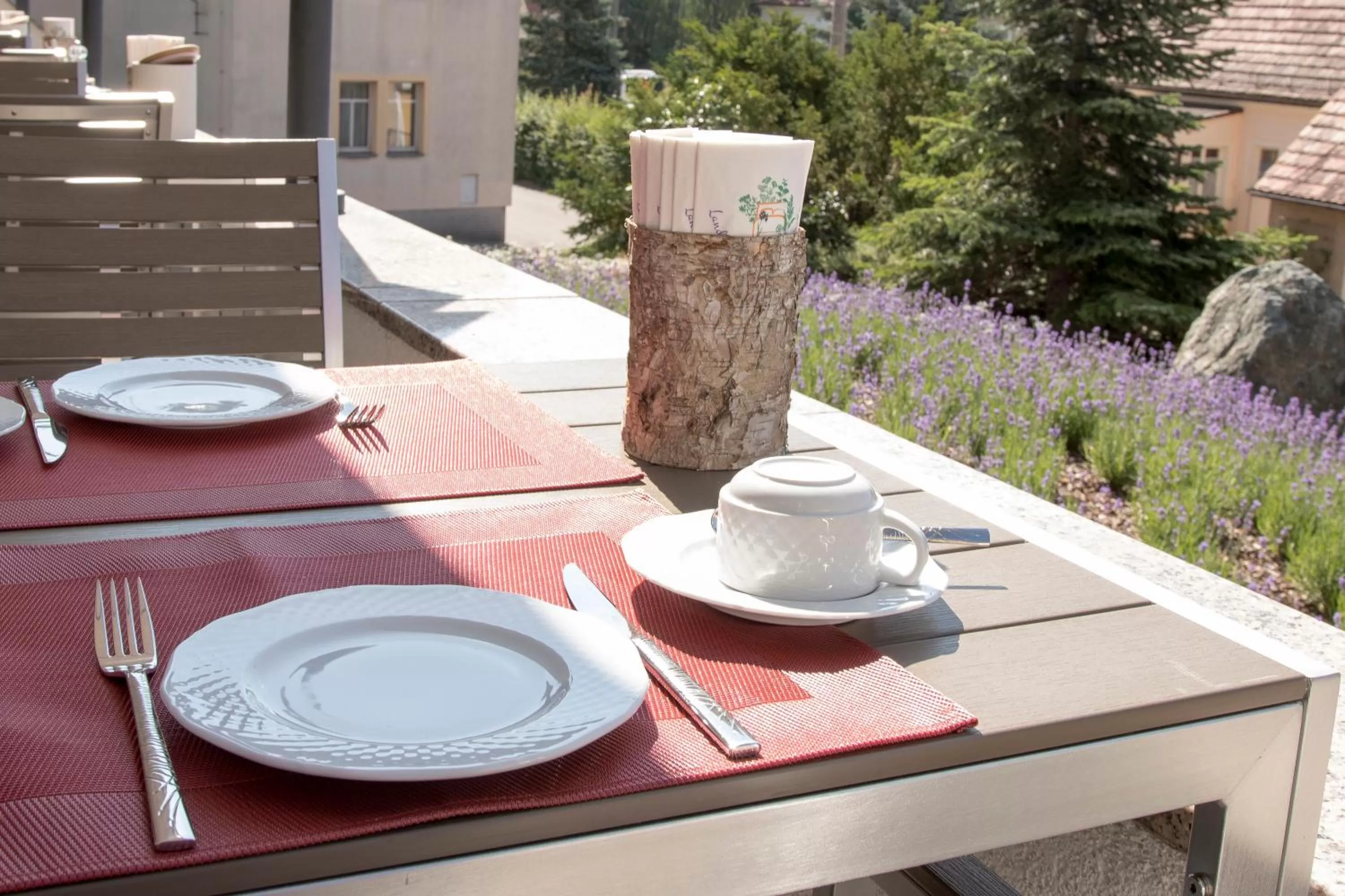 Balcony/Terrace in Landhotel Kräuterbergl Kreischa