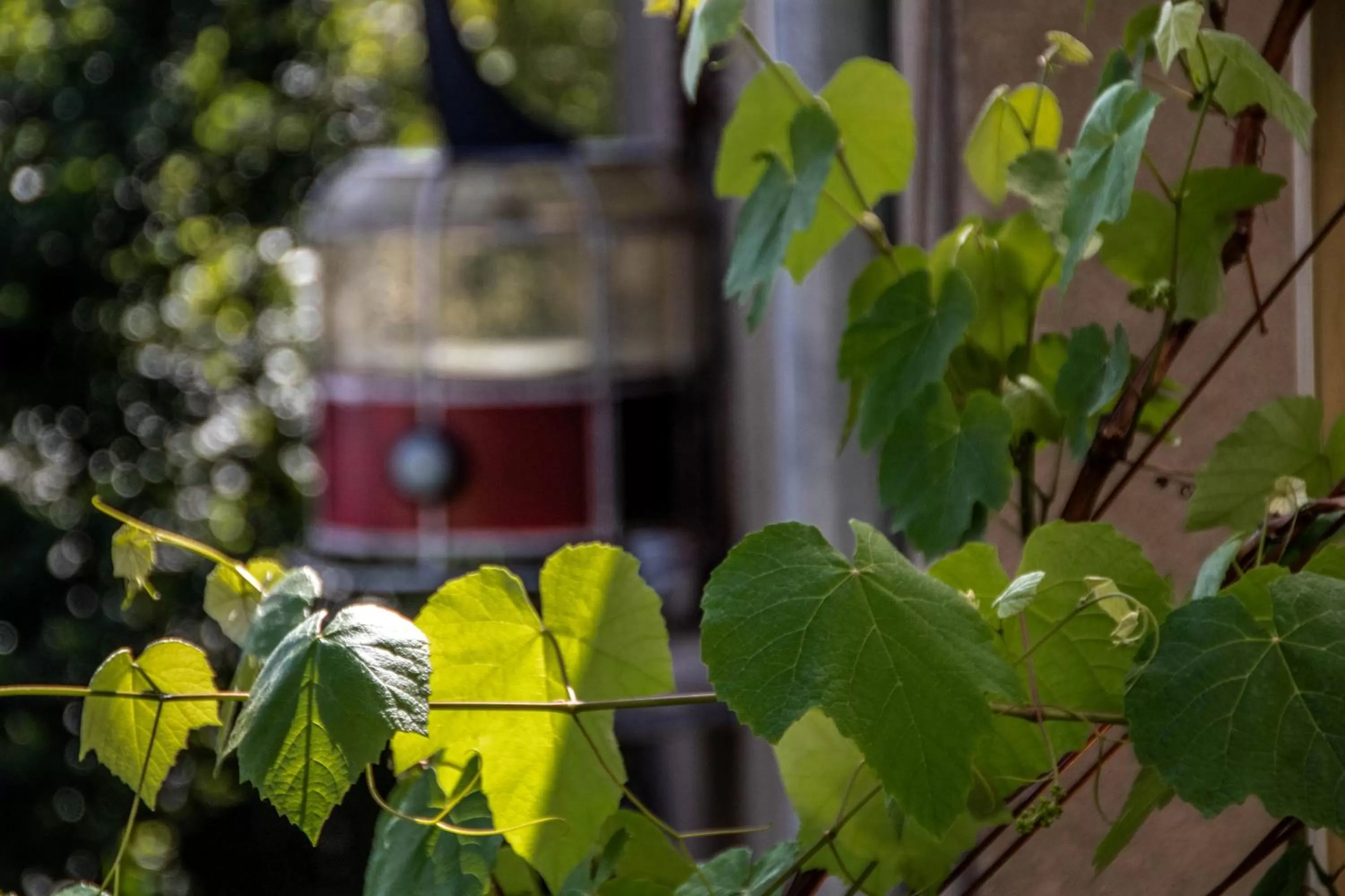 Day in Qilimcha's Guesthouse