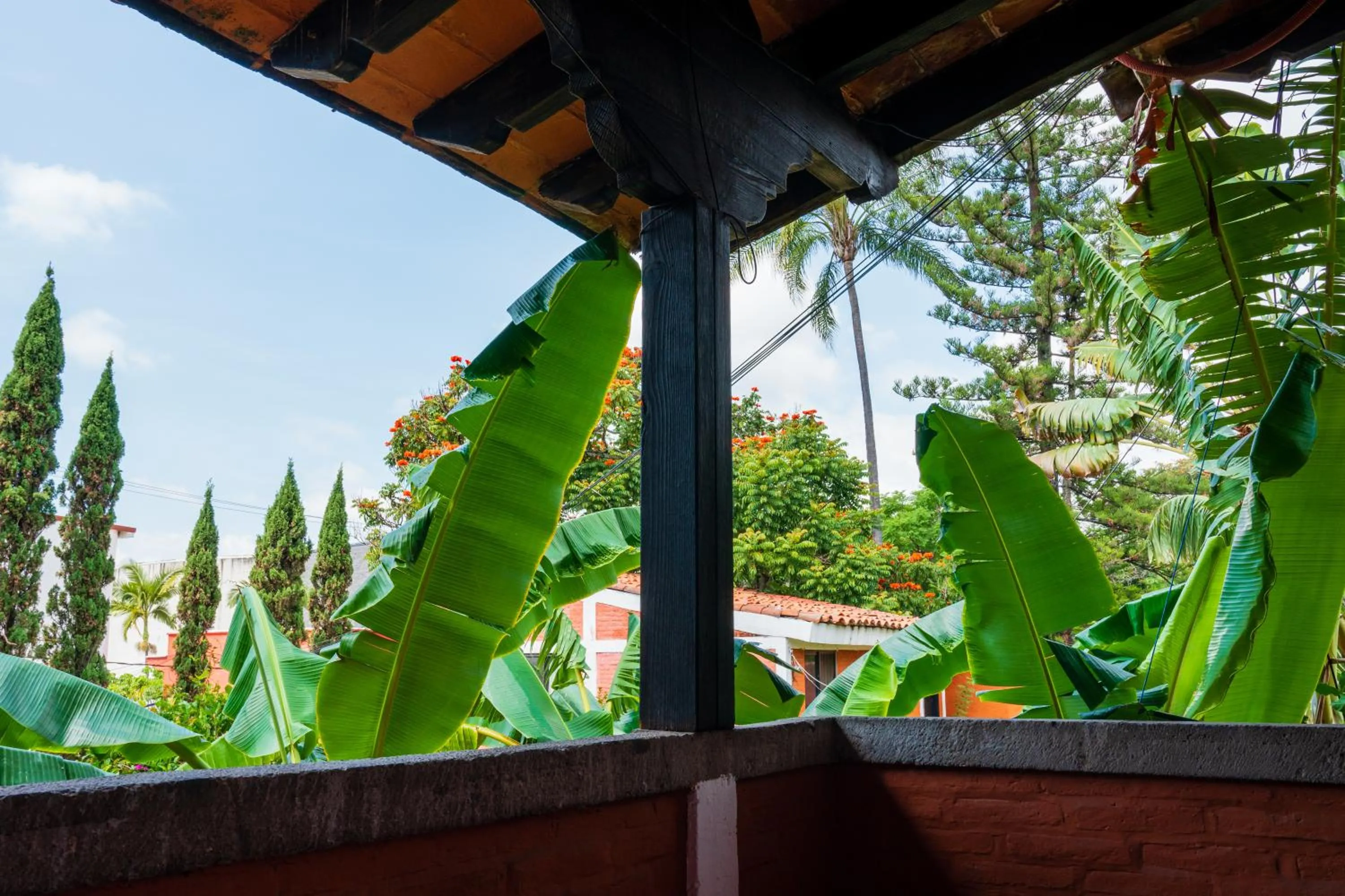 Balcony/Terrace in Hotel San Angelo