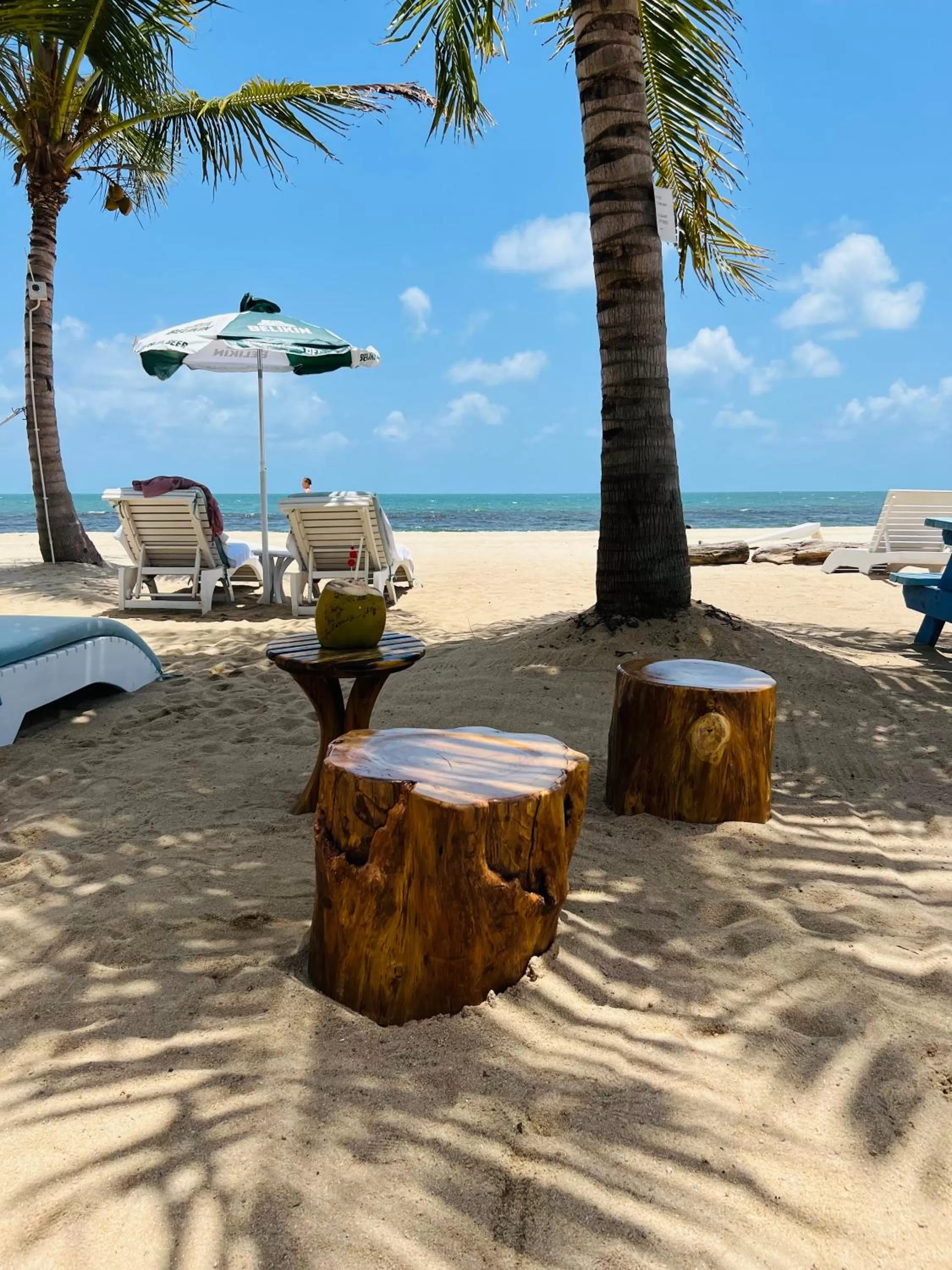 Beach in Ocean Breeze