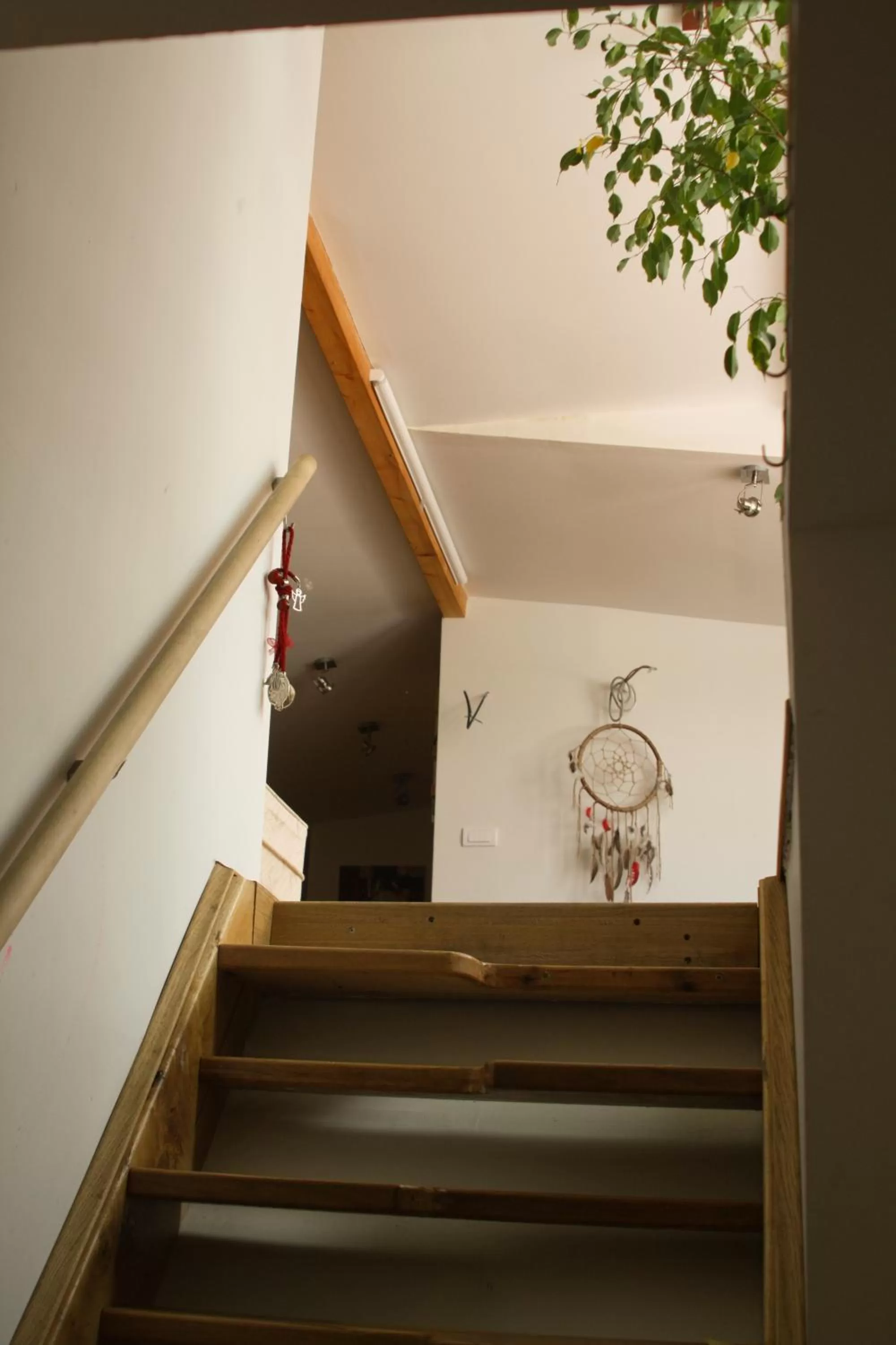 Patio, Lobby/Reception in ArkaBarka 2- Floating Dream Rooms and Apartments