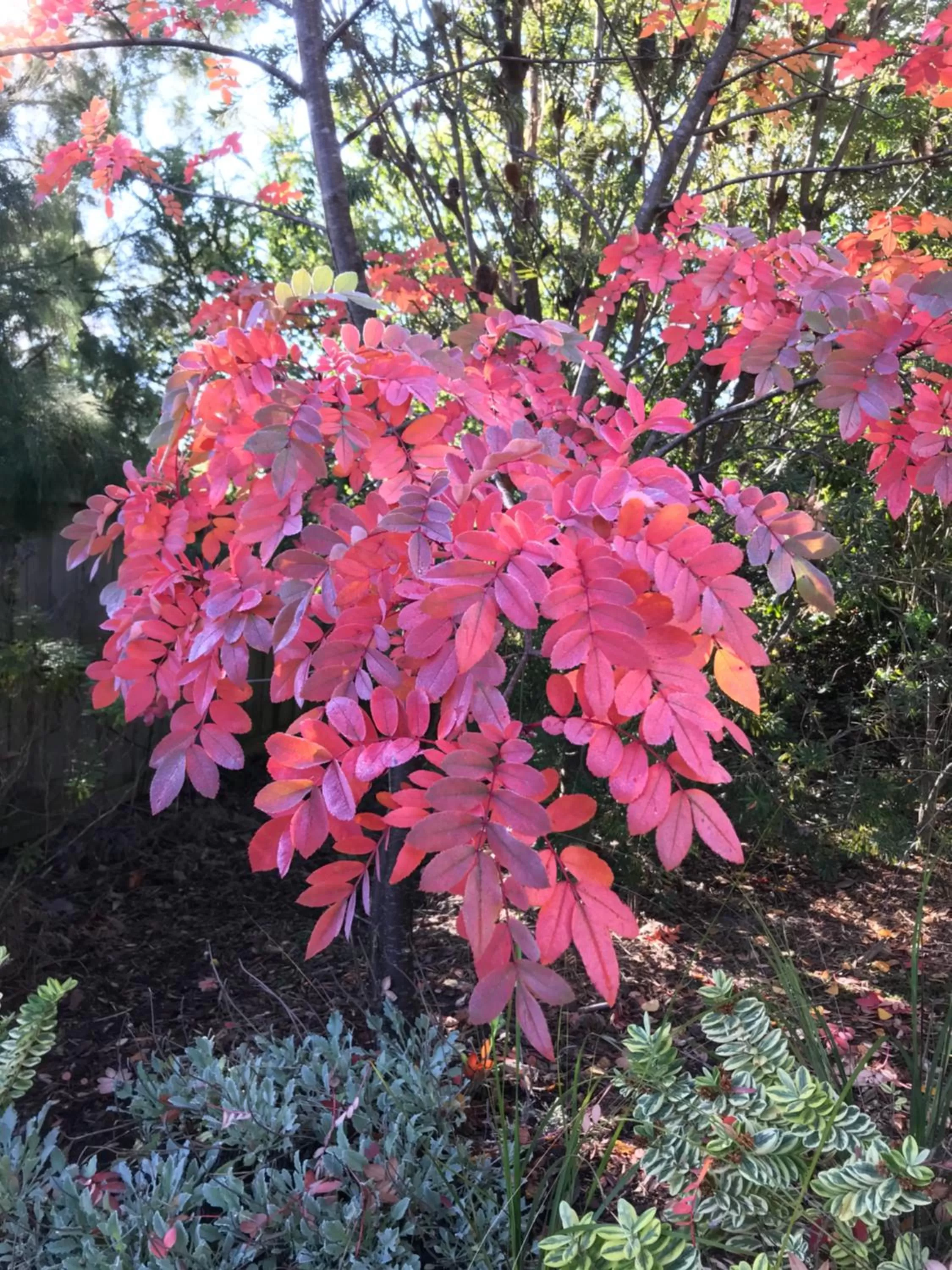 Hillside Bed and Breakfast