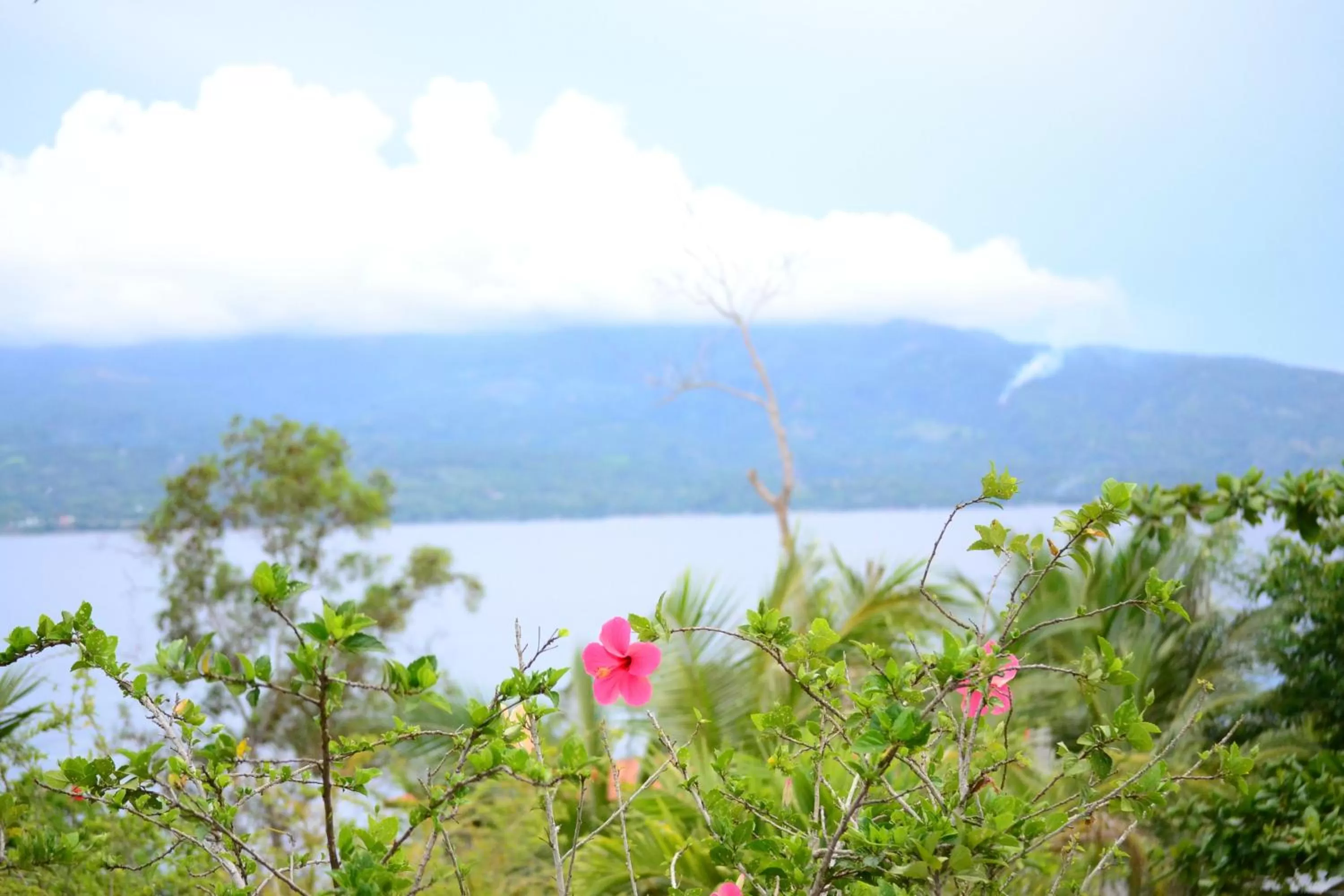 View (from property/room) in Eden Resort