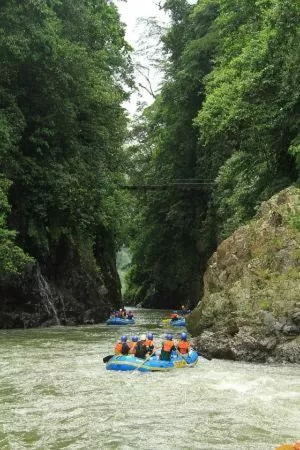 Activities in Hotel Green Mountain turrialba
