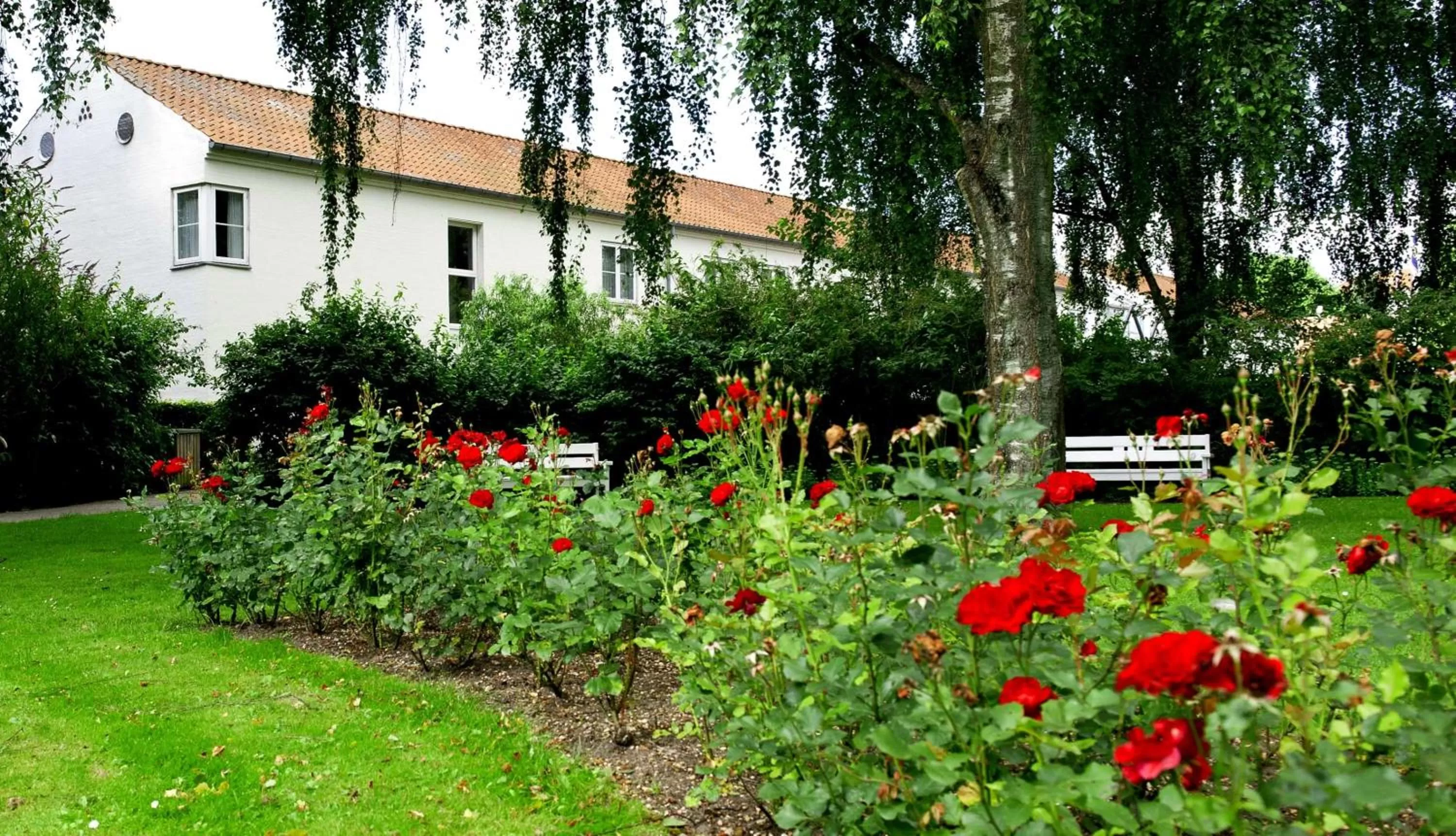 Property building in Golf Hotel Viborg