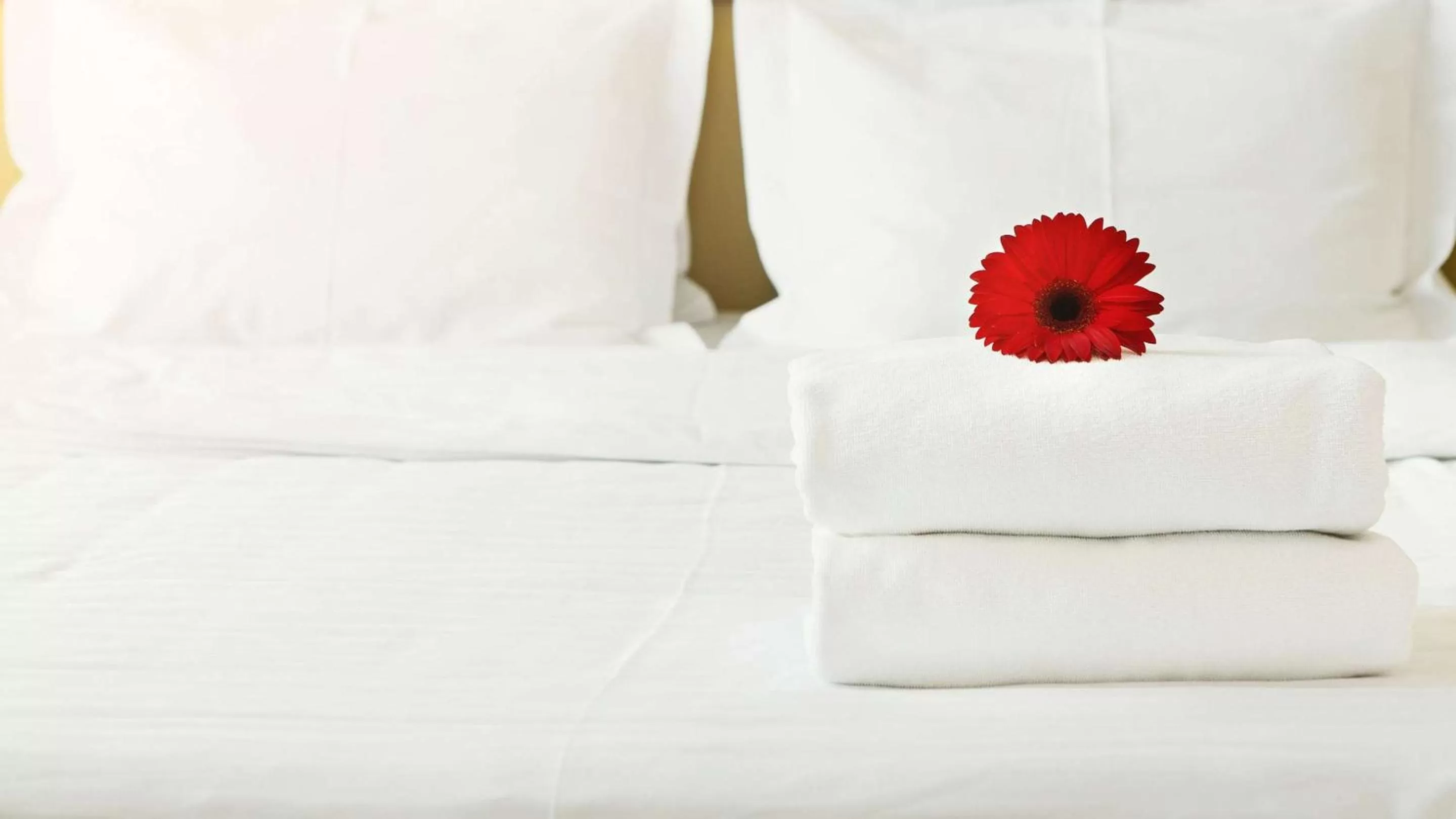 Photo of the whole room, Bed in Inn of Loudon