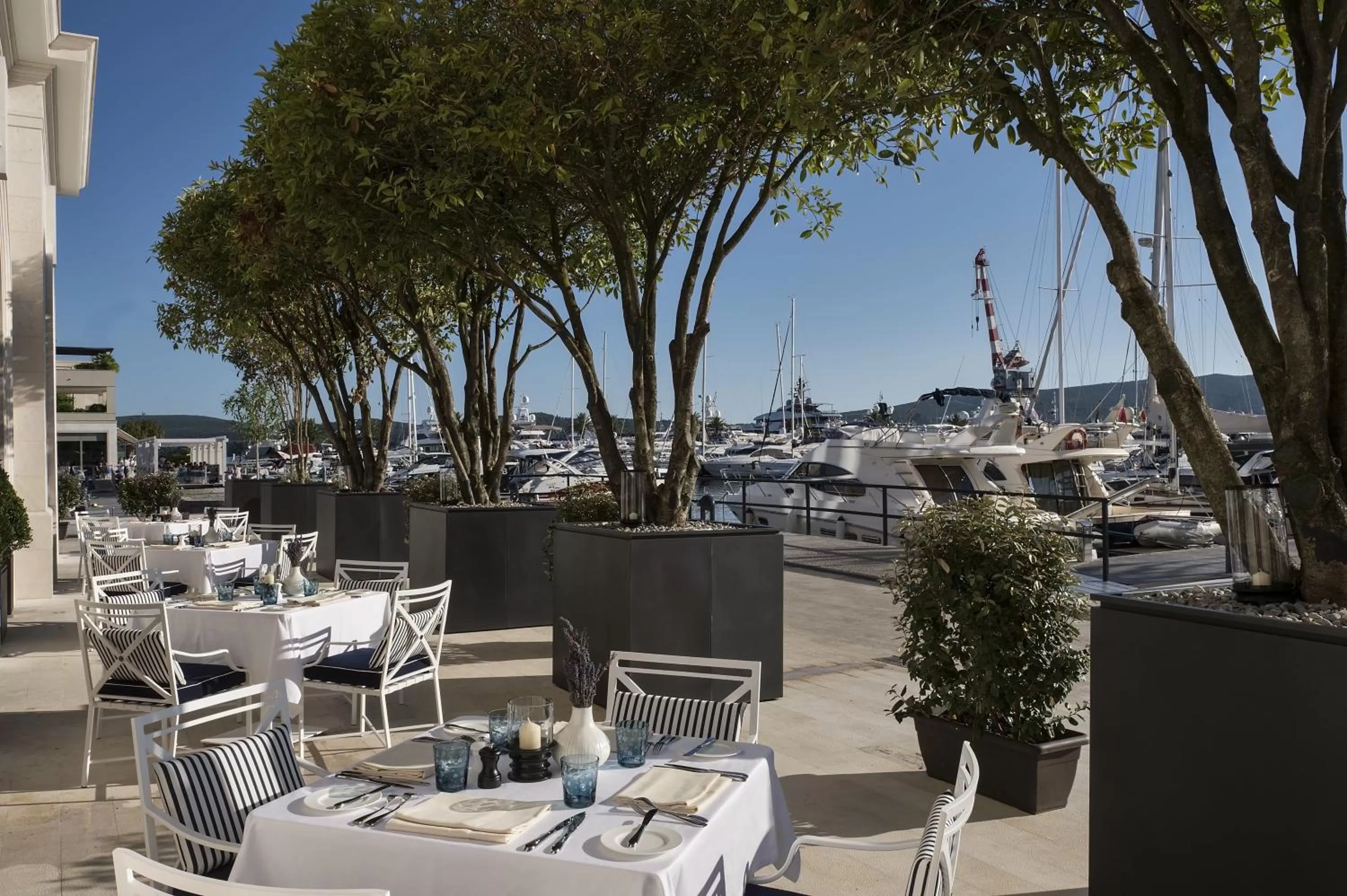 Restaurant/places to eat in Regent Porto Montenegro
