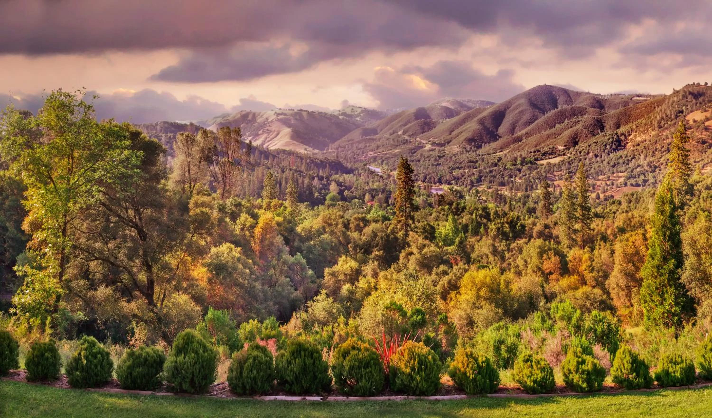 Day in Bella Vista Bed and Breakfast