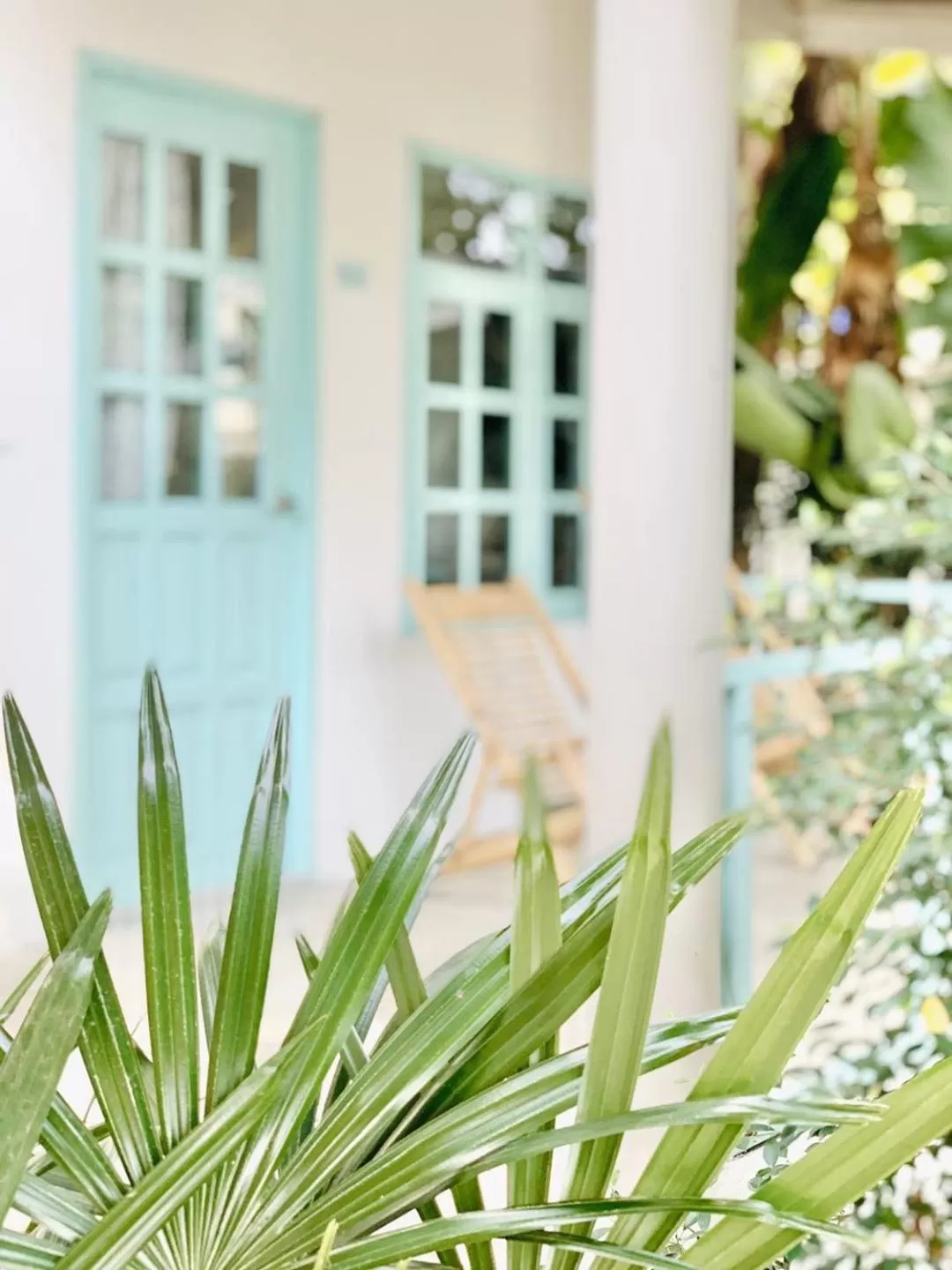 Indie Beach Bungalows