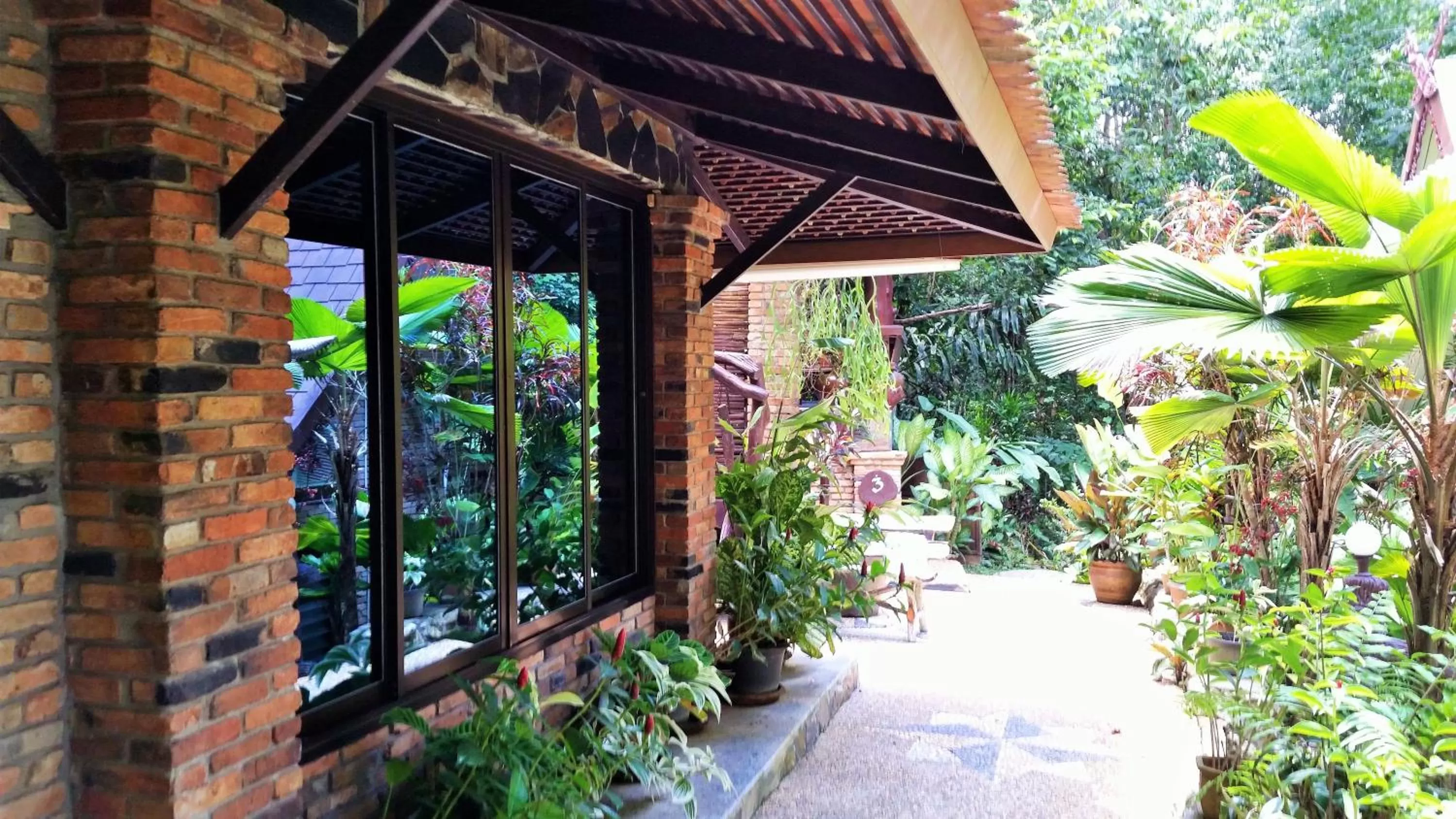 Day in Khao Sok Las Orquideas Resort