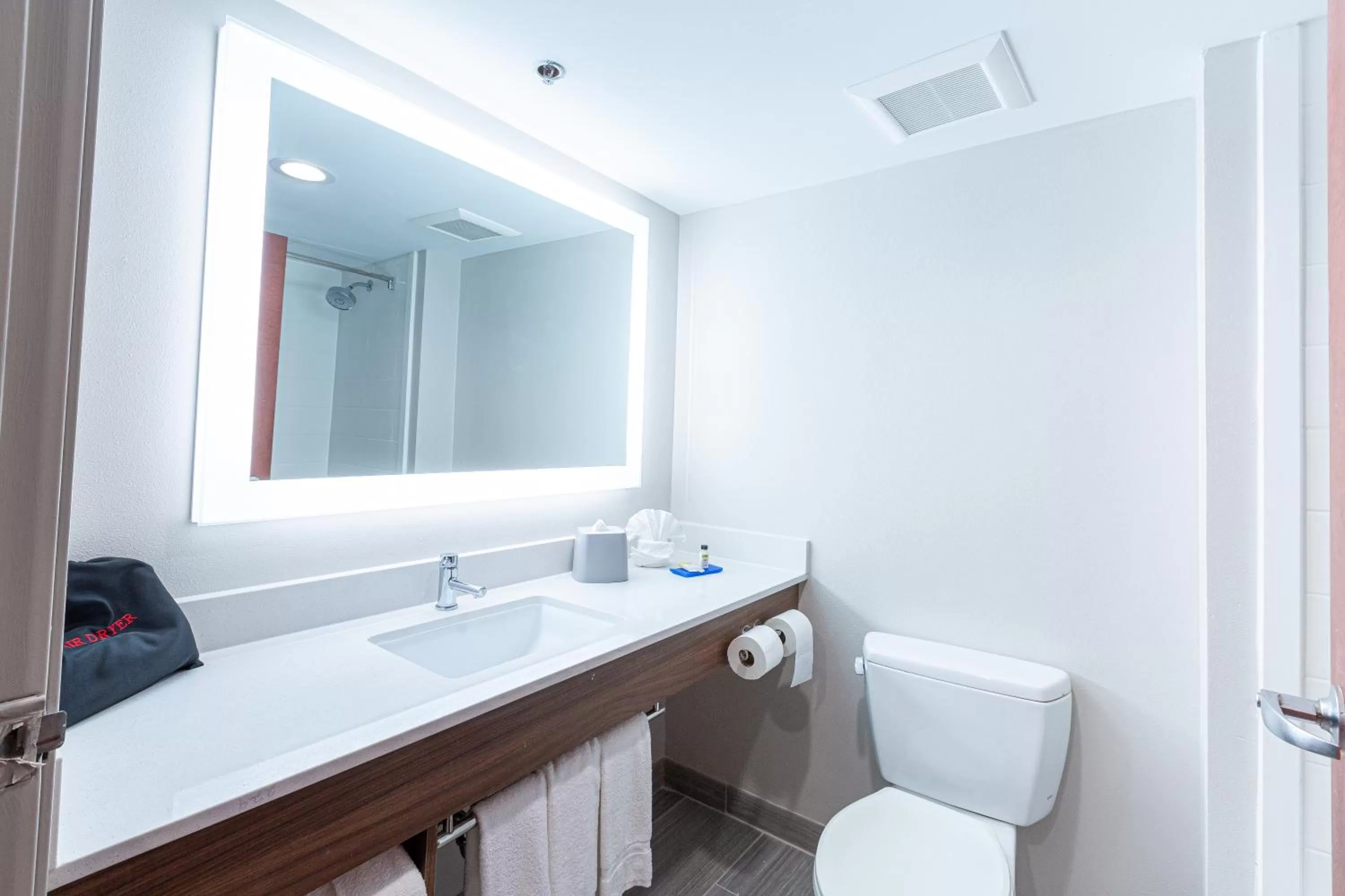 Bathroom in Holiday Inn Express & Suites Arlington North – Stadium Area by IHG