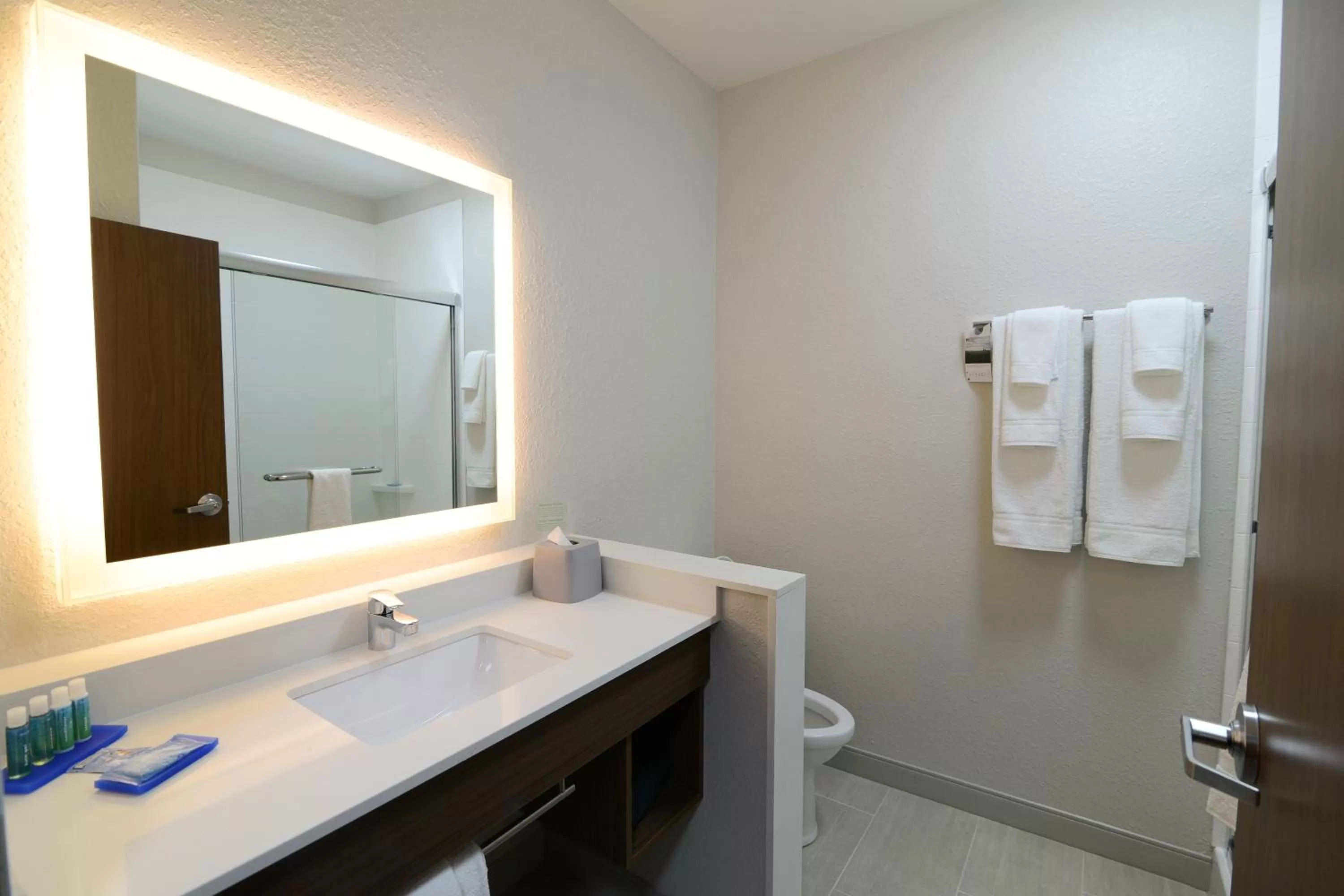 Bathroom in Holiday Inn Express & Suites Chicago North Shore - Niles by IHG