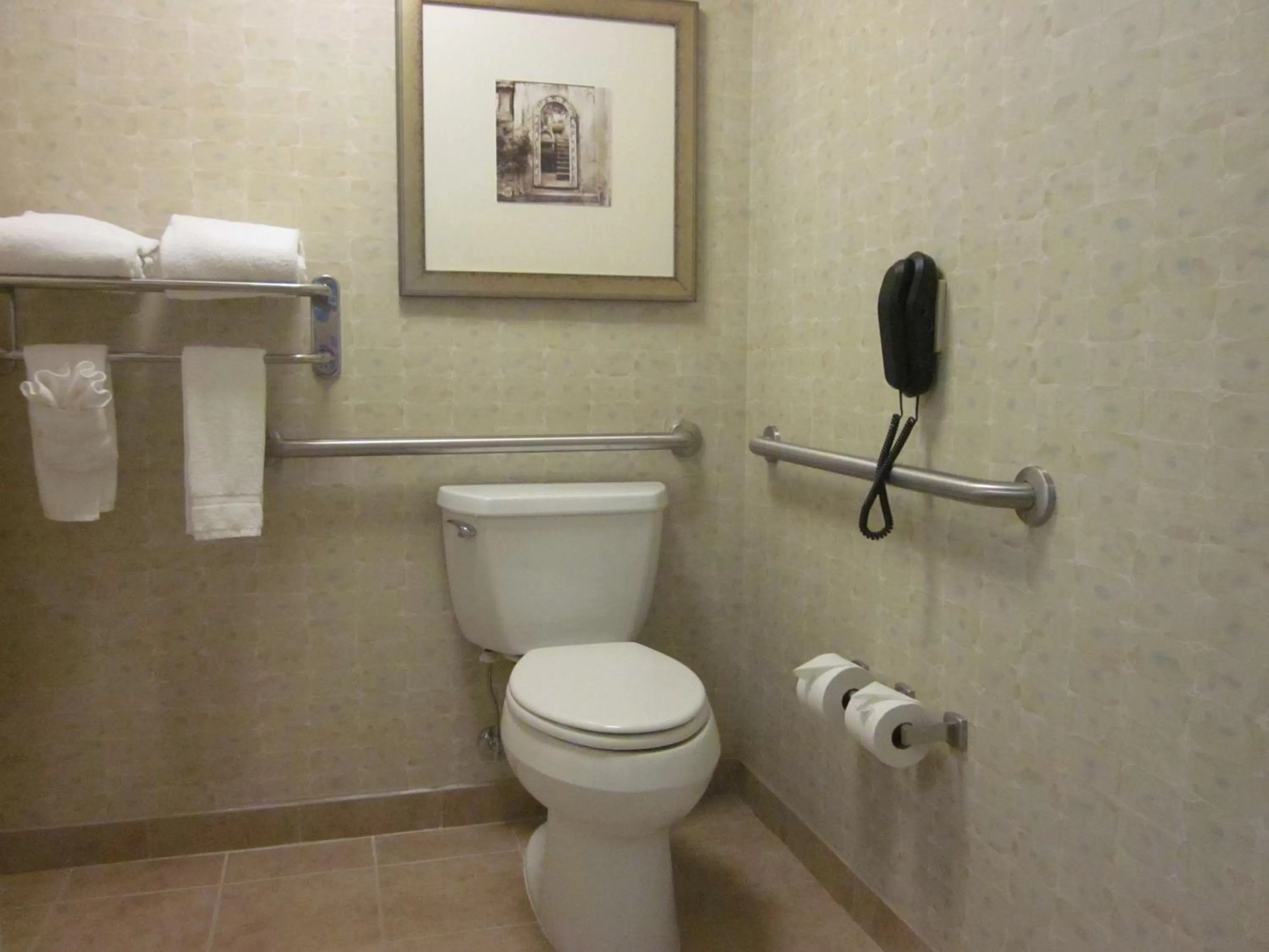 King Room  - Disability Access with Bath Tub in Hilton Garden Inn Omaha East/Council Bluffs