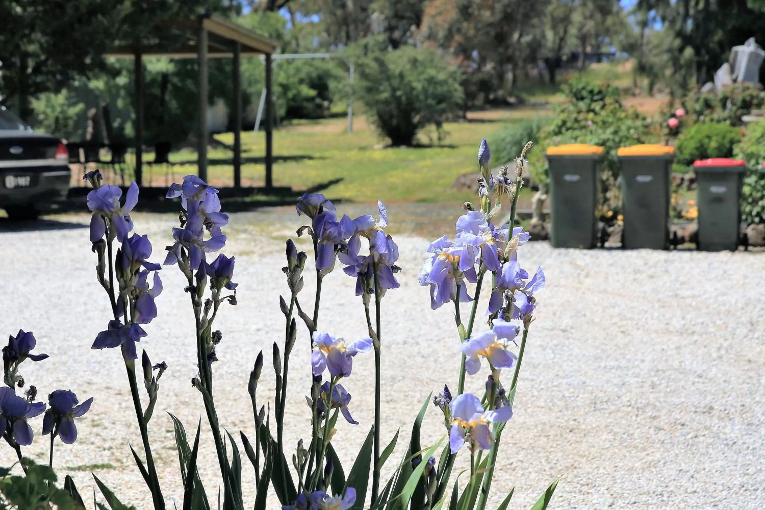 Garden view in Wattle Grove Motel Maryborough