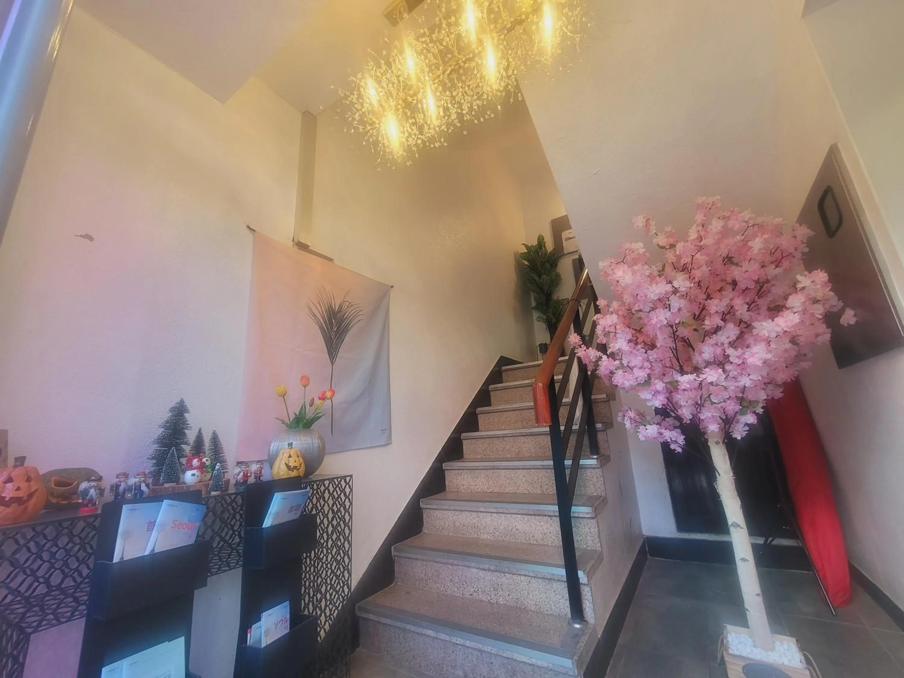 Property building in Olive Hostel MyeongDong