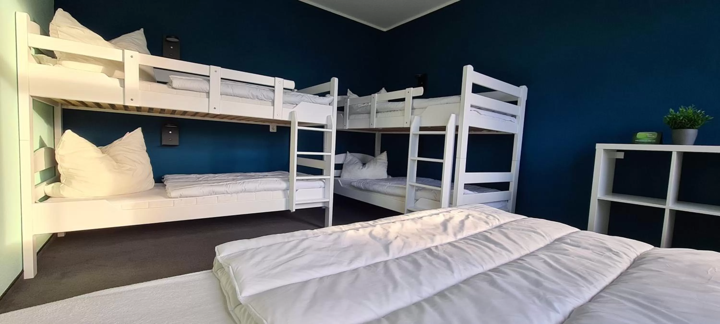 Photo of the whole room, Bunk Bed in Harz Hostel