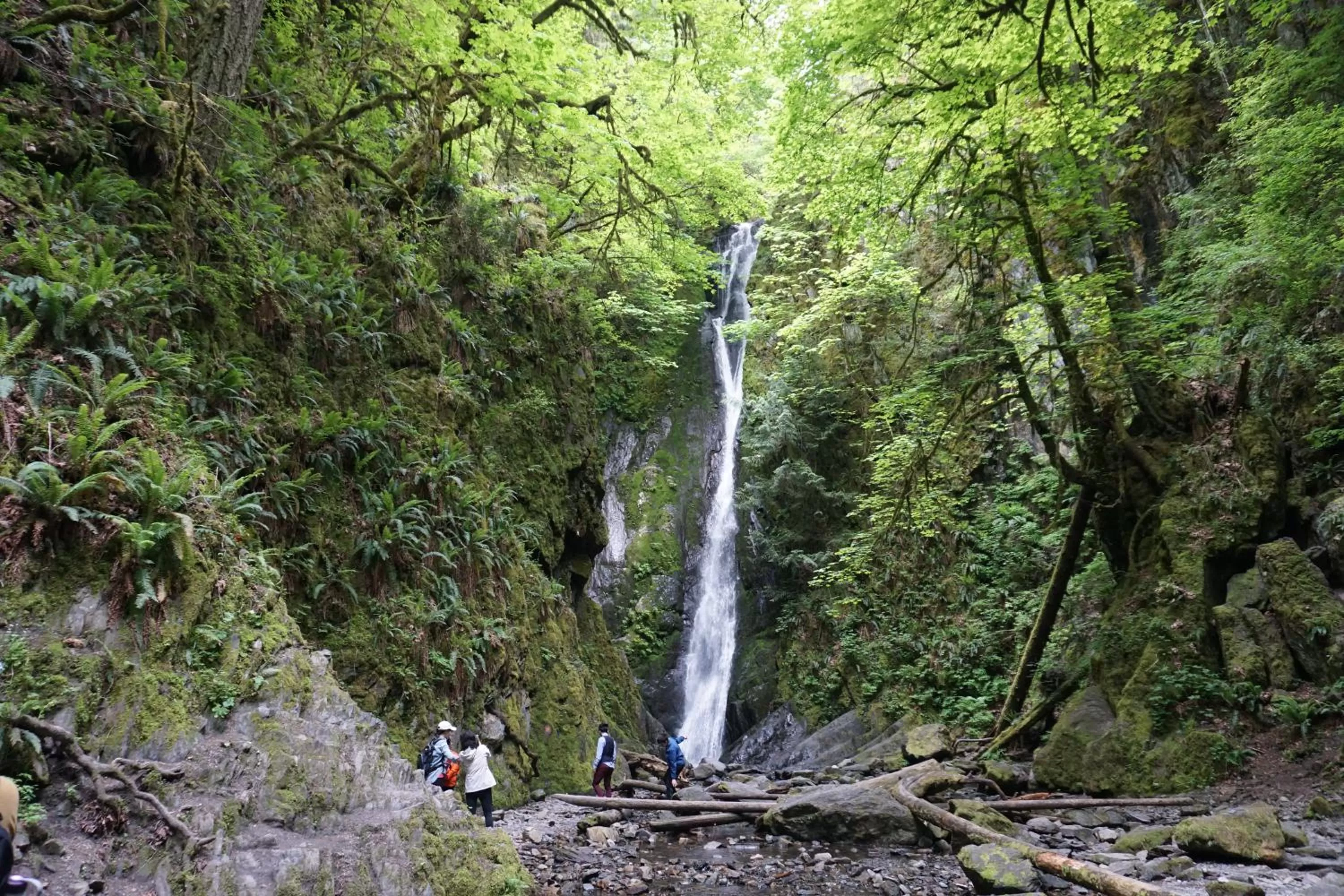 Nearby landmark in Malahat Bungalows Motel