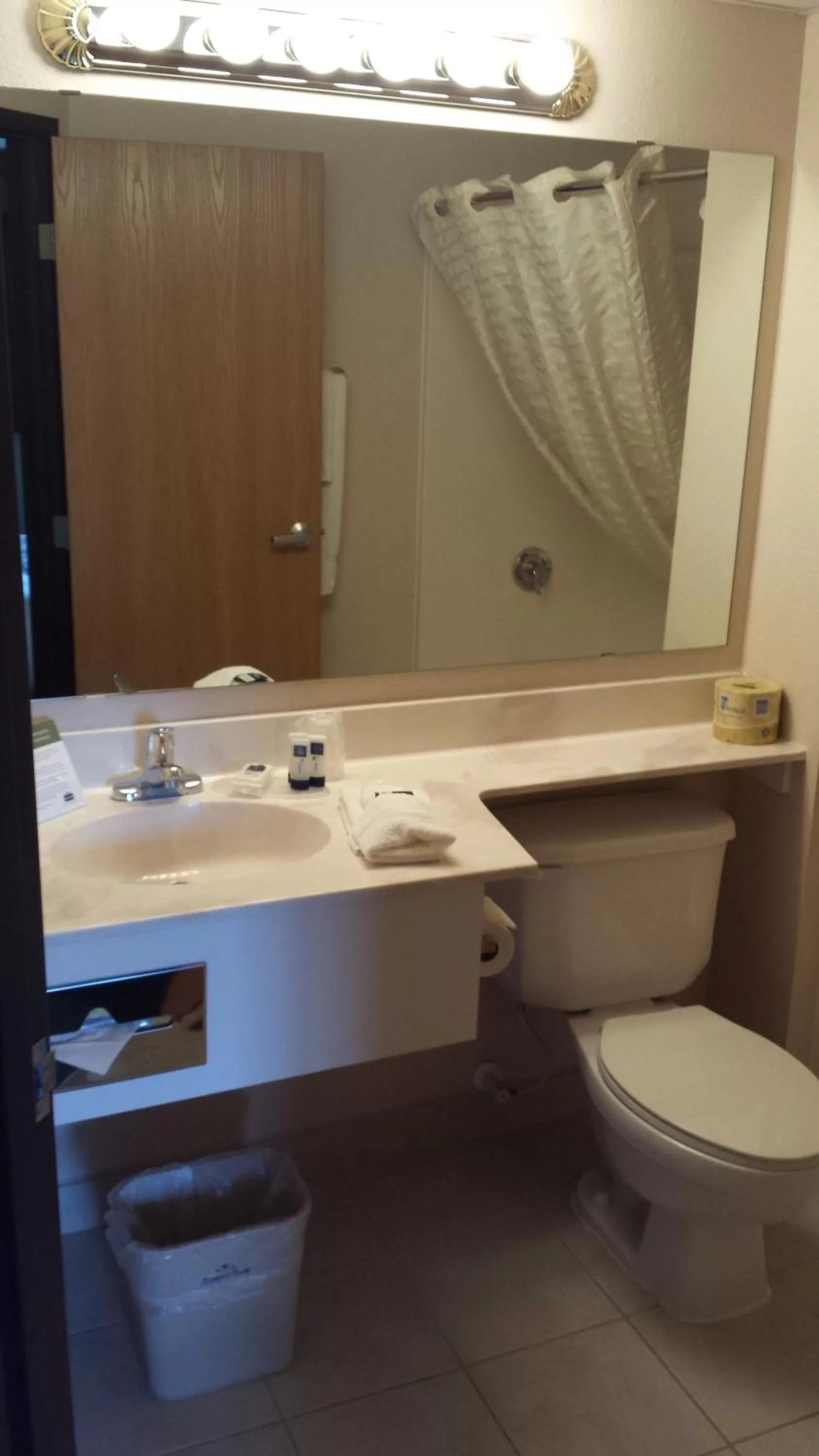 Bathroom in AmericInn by Wyndham Madison SD