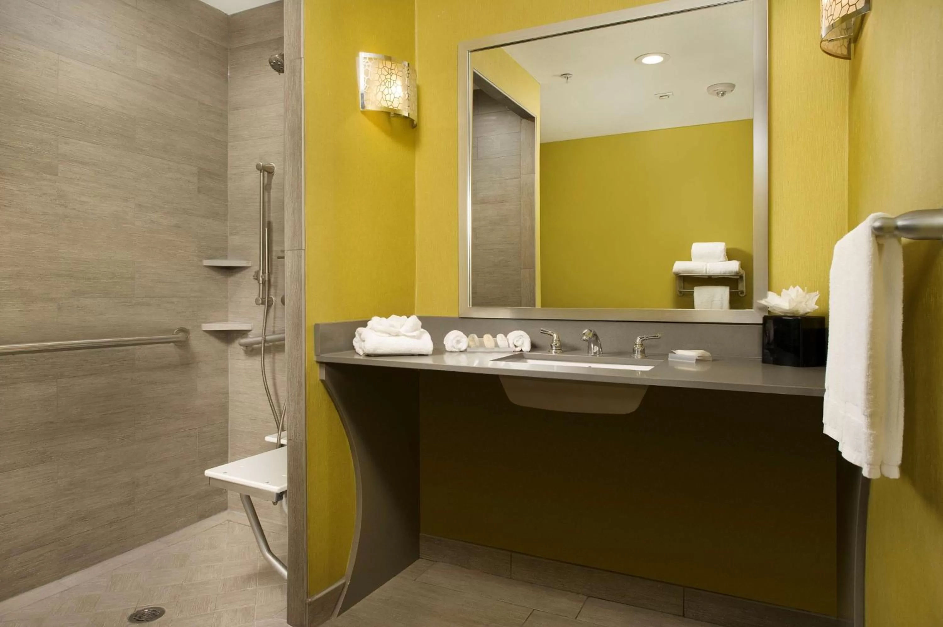 Bathroom in Hilton Garden Inn College Station