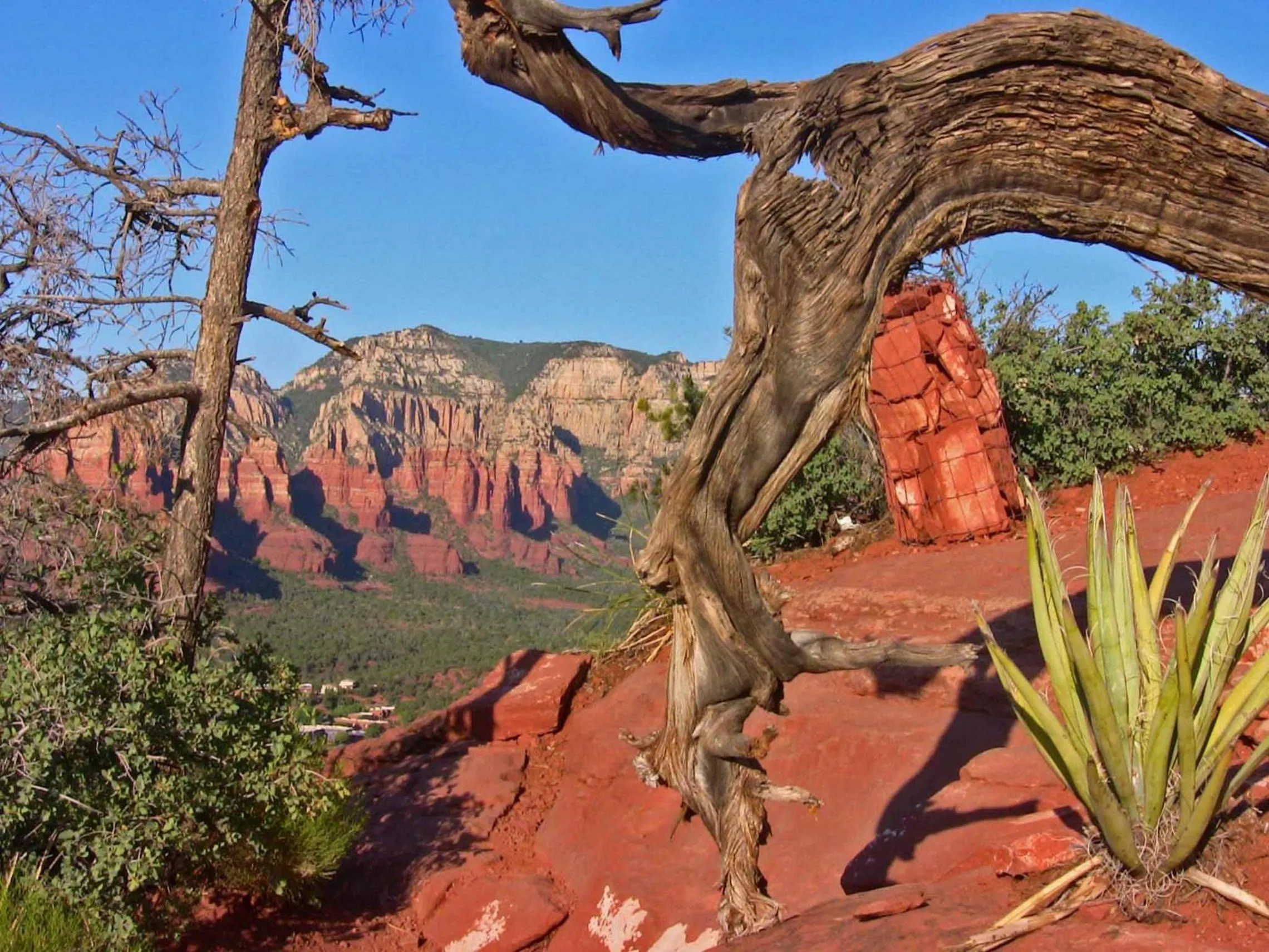 Day in Baby Quail Inn