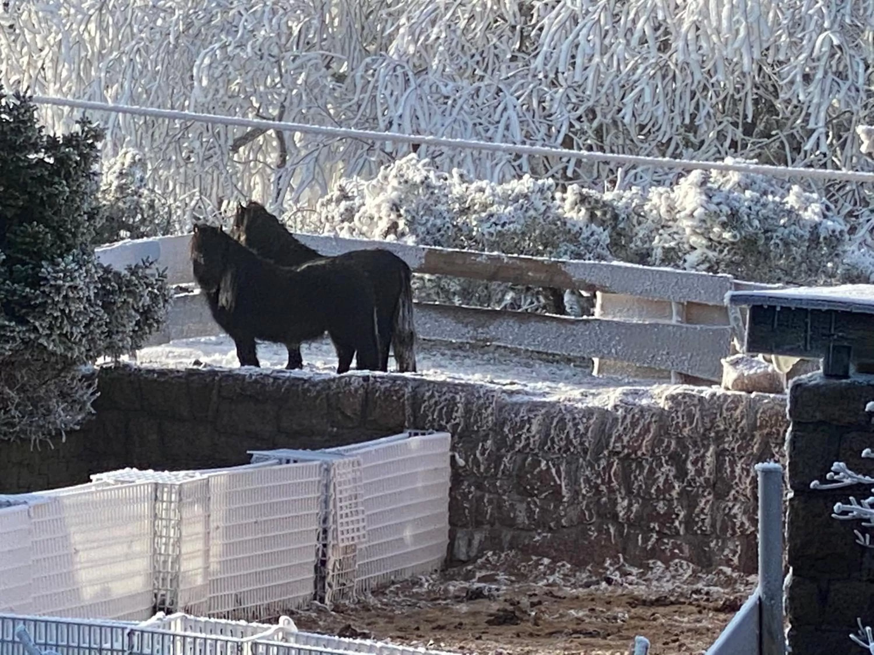 Property building in Hotel Lugsteinhof