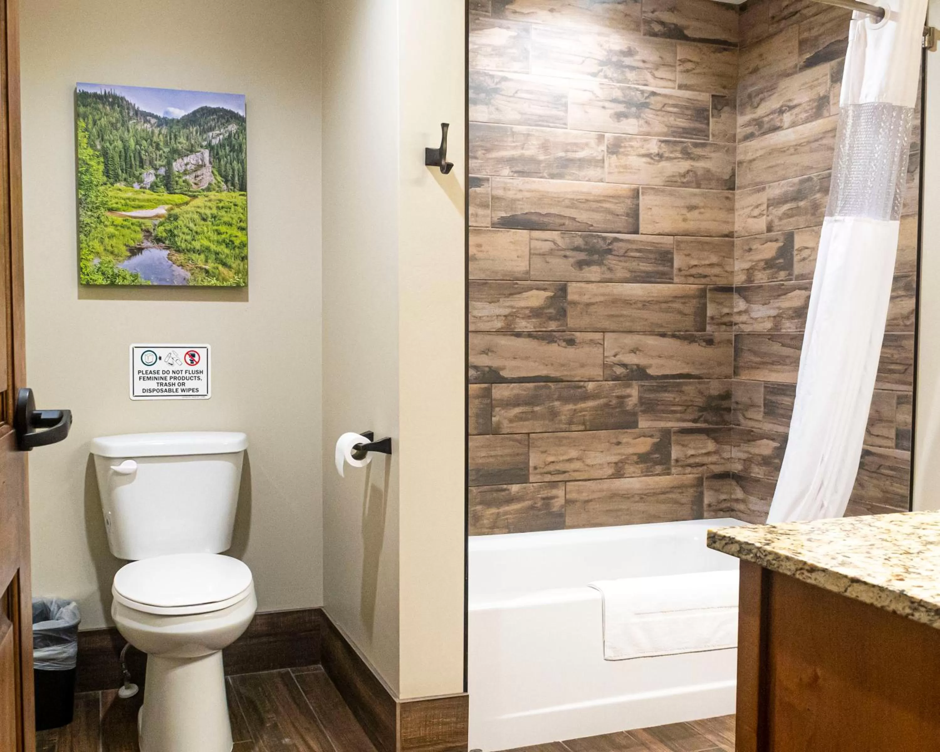 Toilet in Sawtelle Mountain Resort