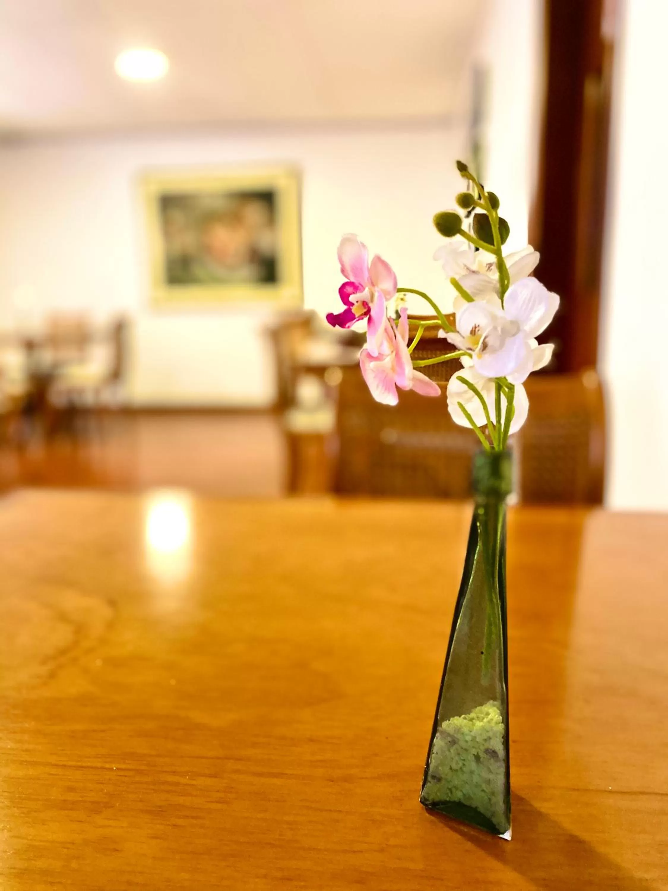 Dining area, Lobby/Reception in Hotel Maceo Chico