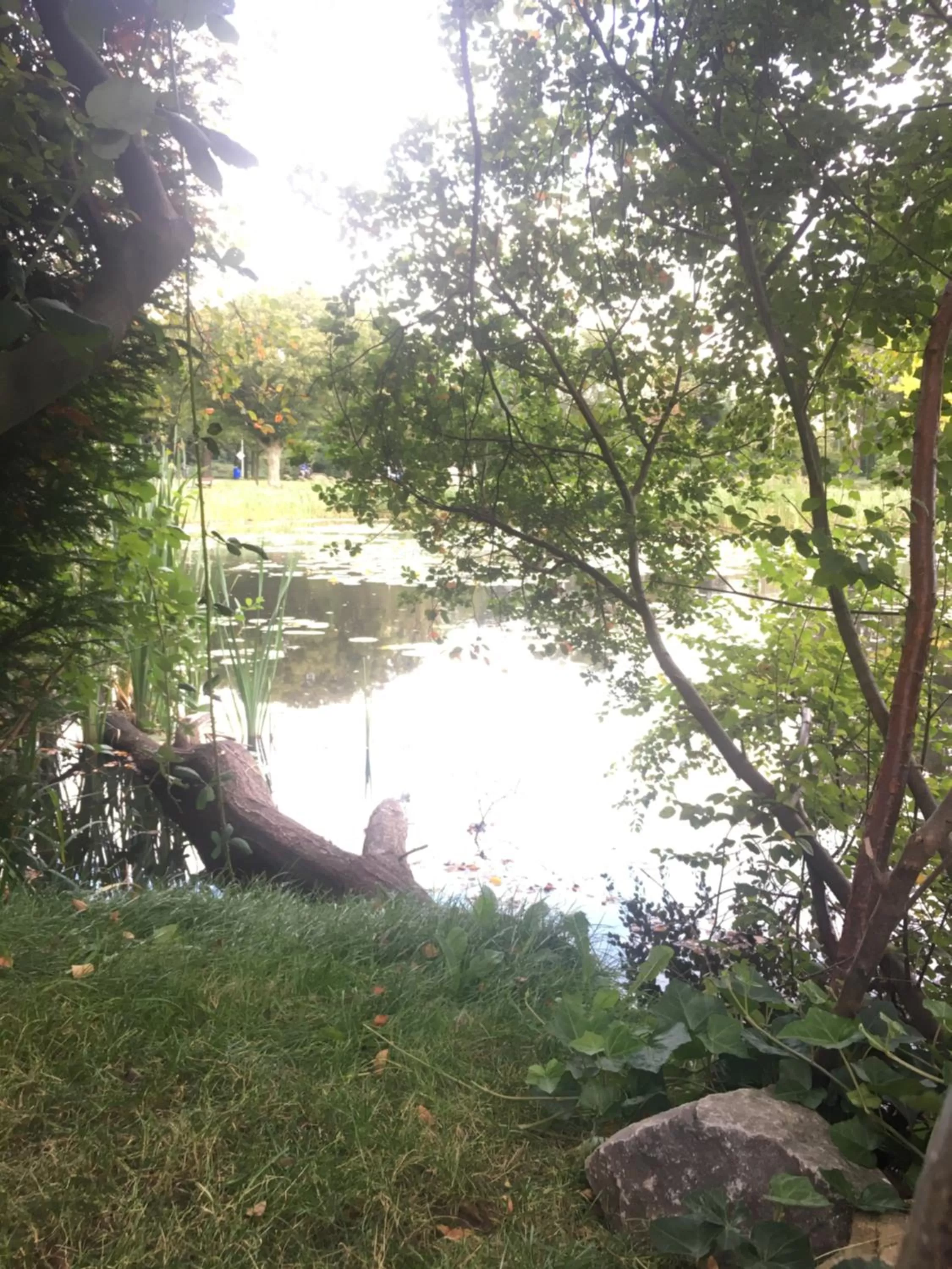 Garden in De Vijverkamer-----privé diner op de kamer mogelijk!!