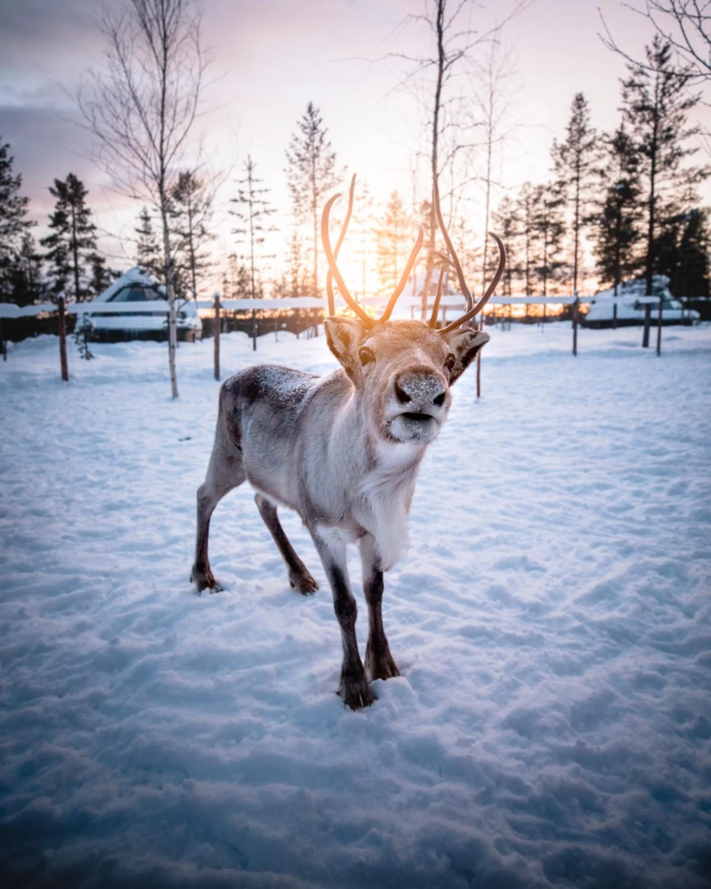 Day in Aurora Village Ivalo