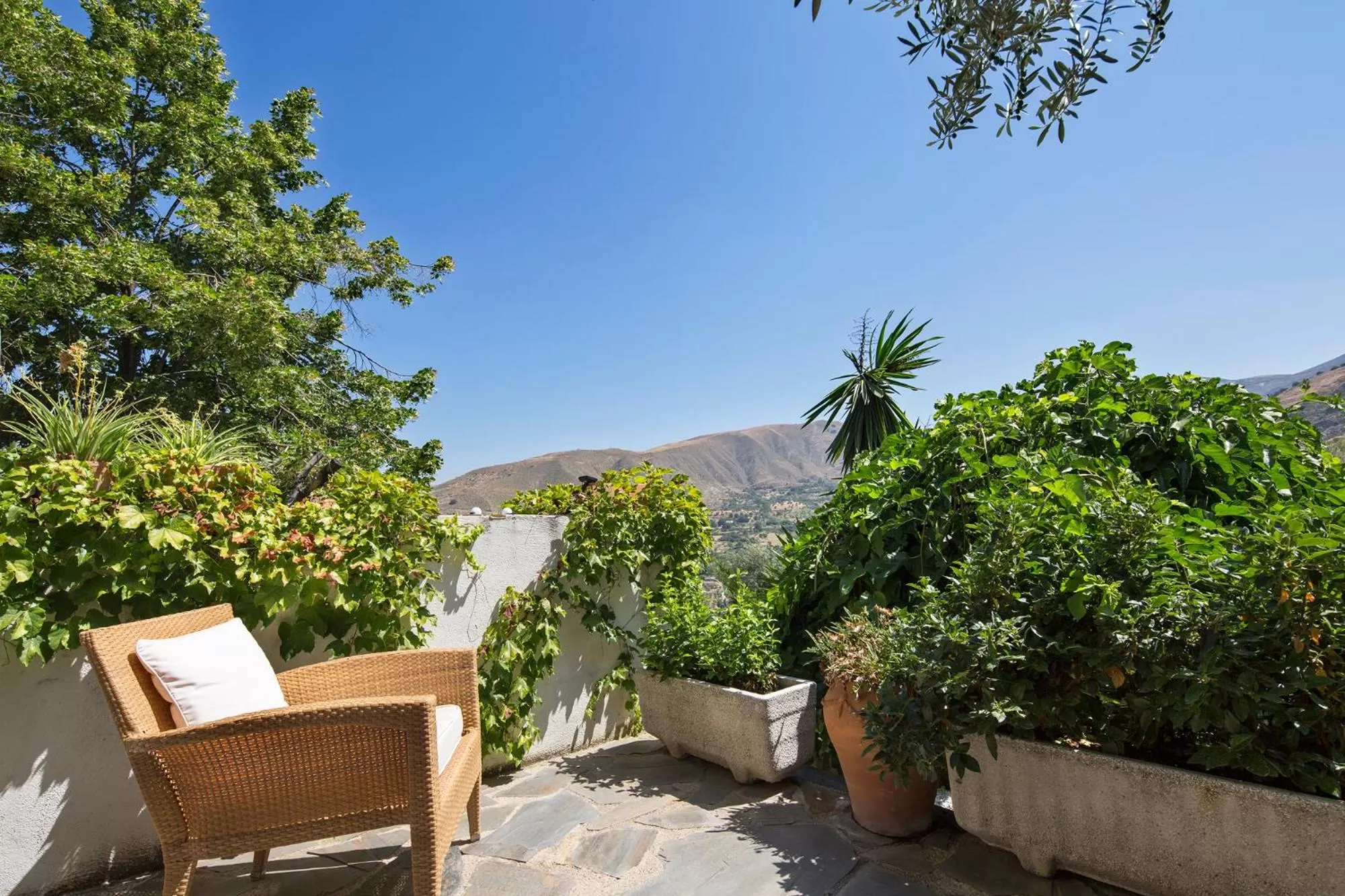 Garden in La Almunia del Valle