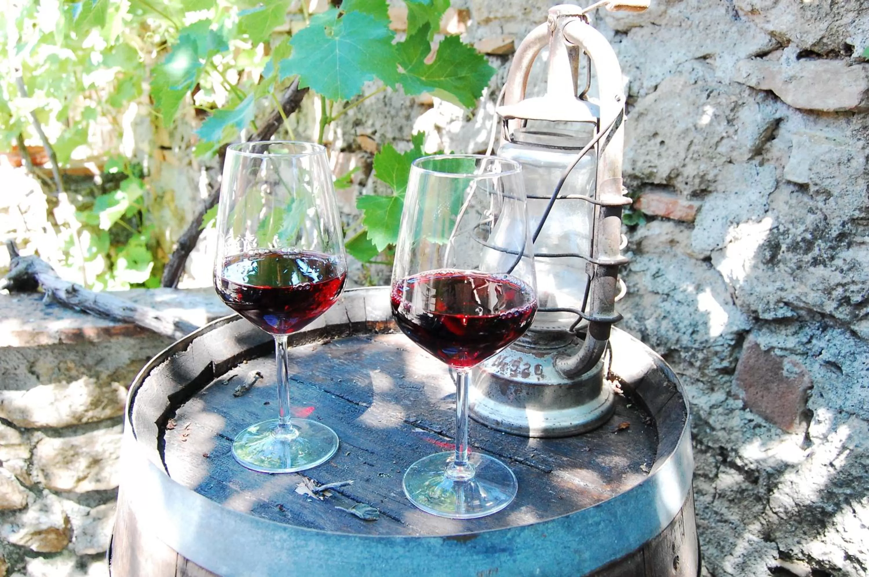 Garden in Hotel La Locanda