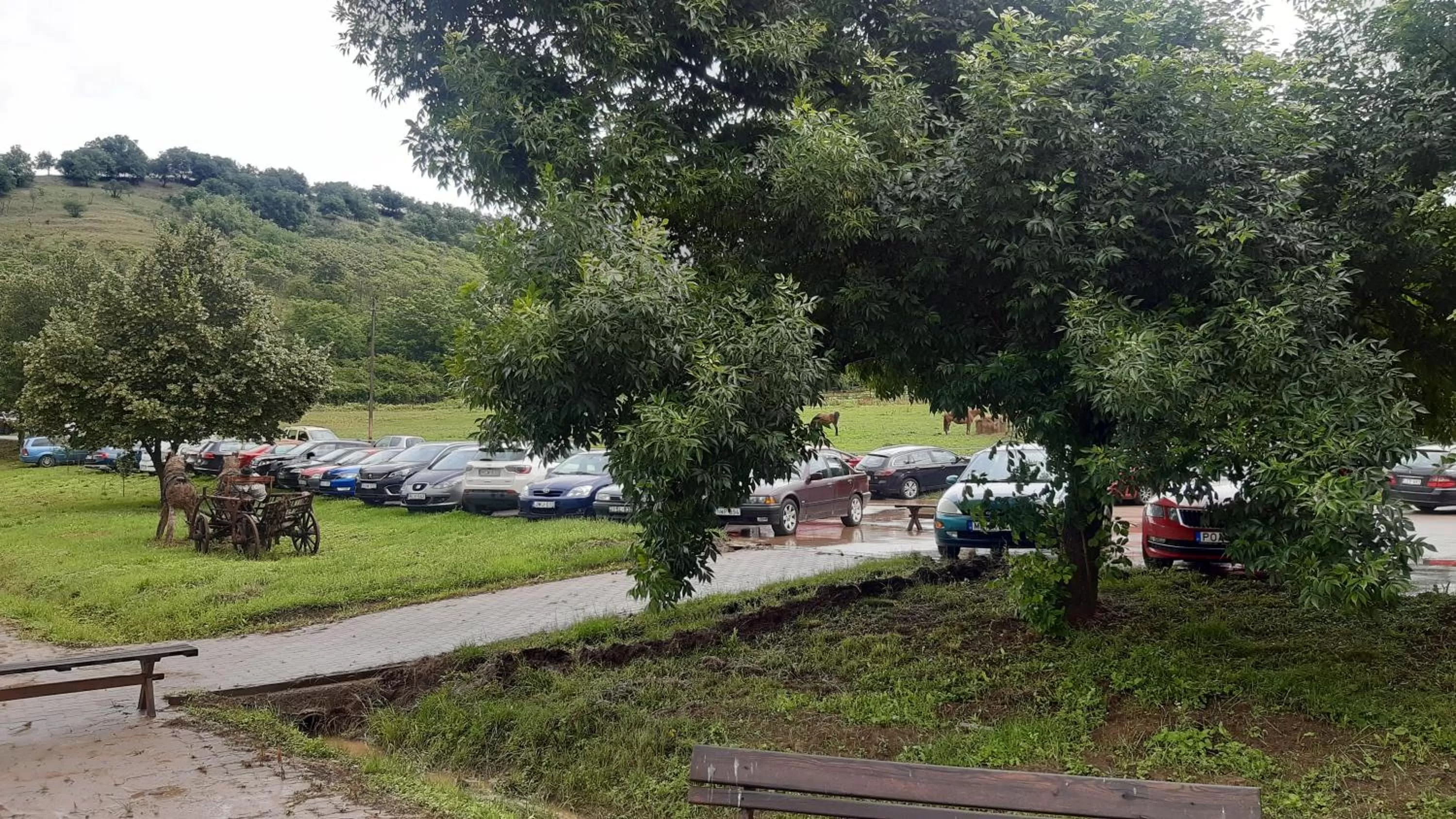 Garden in Mátyus Udvarház Kengyel Fogadó Eger