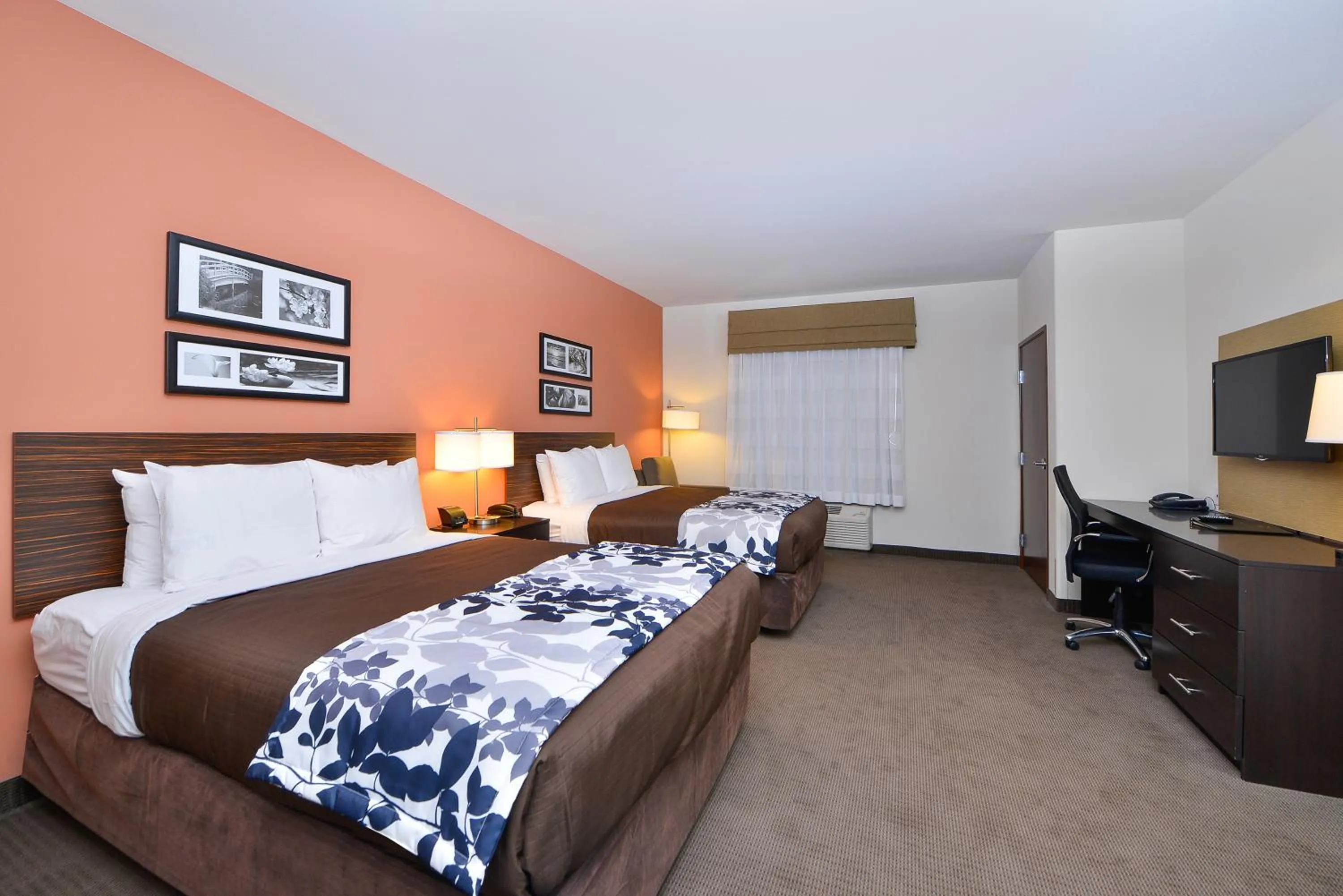 Photo of the whole room, Bed in Sleep Inn & Suites Austin – Tech Center