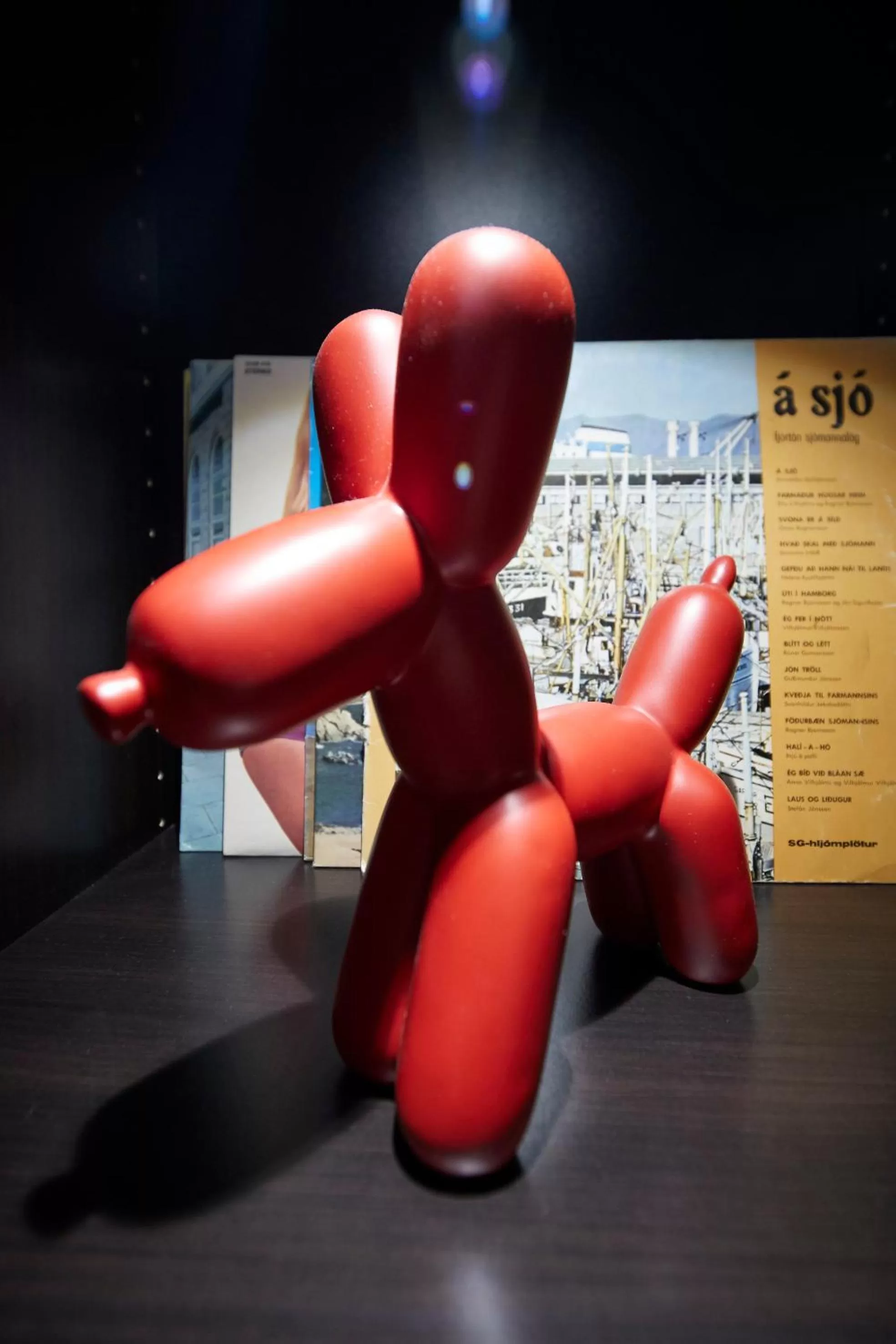 Hotel Akureyri Dynheimar