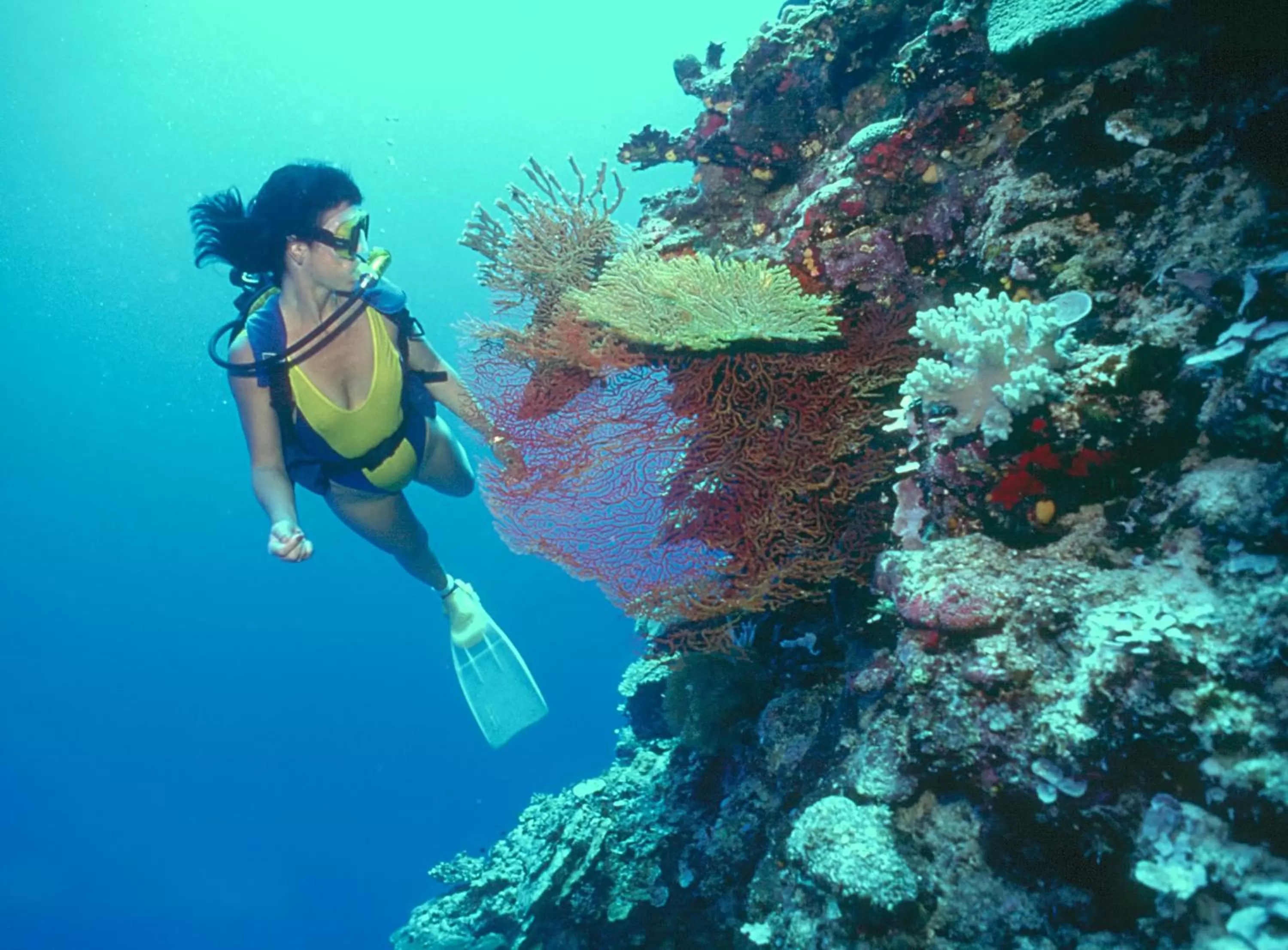 Diving in Loreto Bay Golf & Sea at Baja