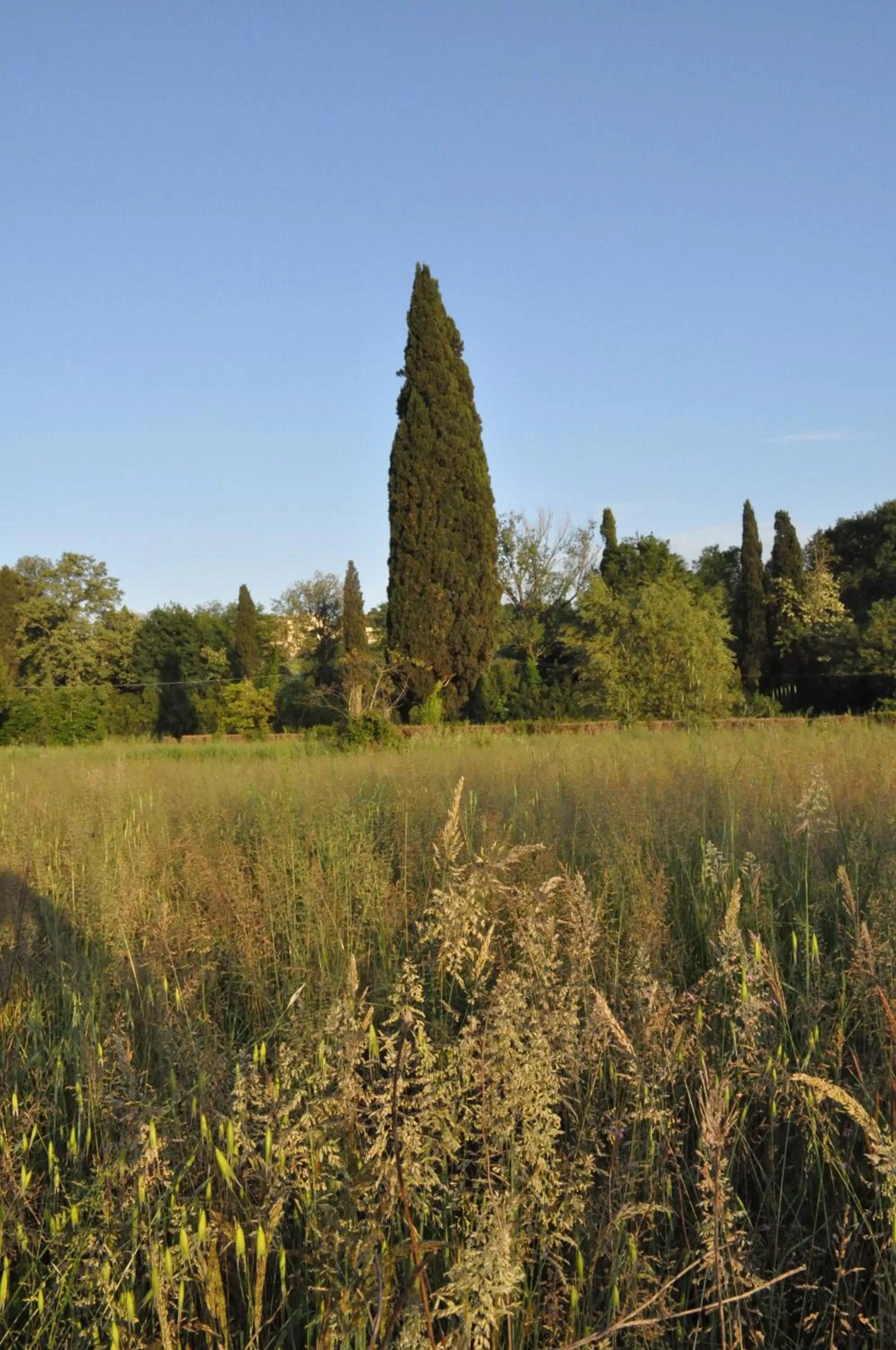 Garden in Armonie di Villa Incontri B&B