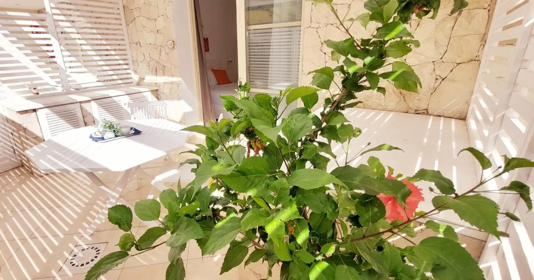 Patio in Branco Suites - Rooms & Holiday Apartments